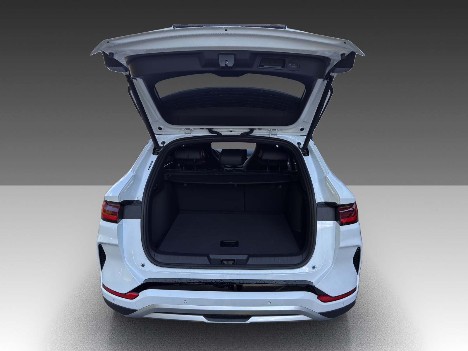 BYD Seal U DM-i Comfort-image-4