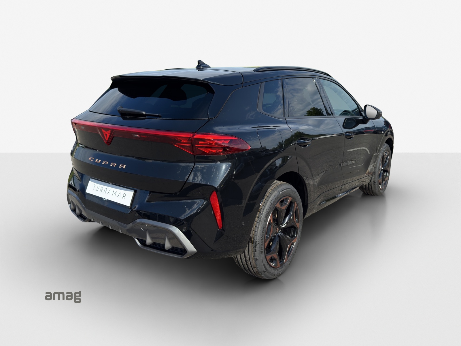 CUPRA Terramar 2.0 TSI Prime Edition DSG 4Drive-image-4