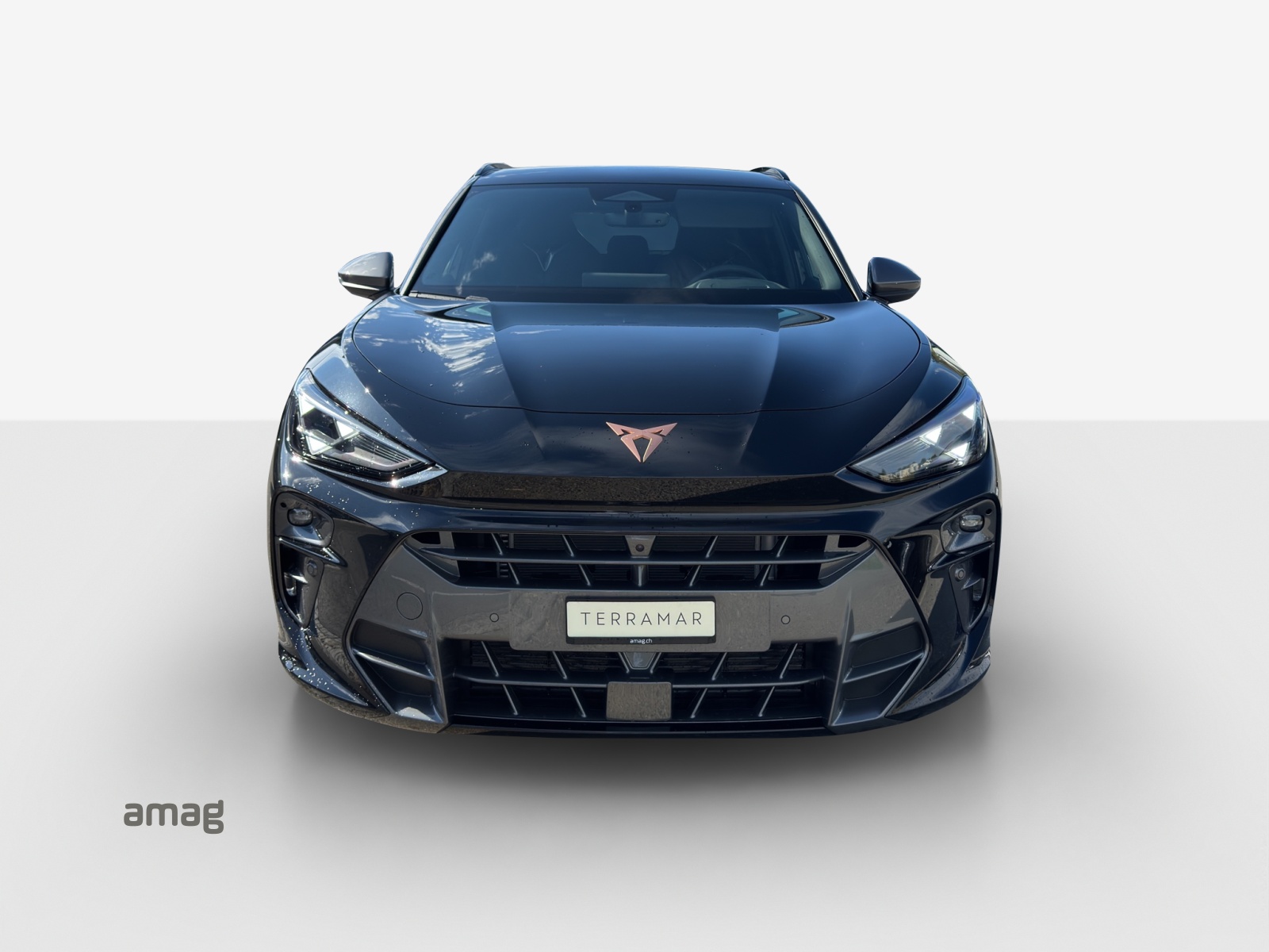 CUPRA Terramar 2.0 TSI Prime Edition DSG 4Drive-image-6