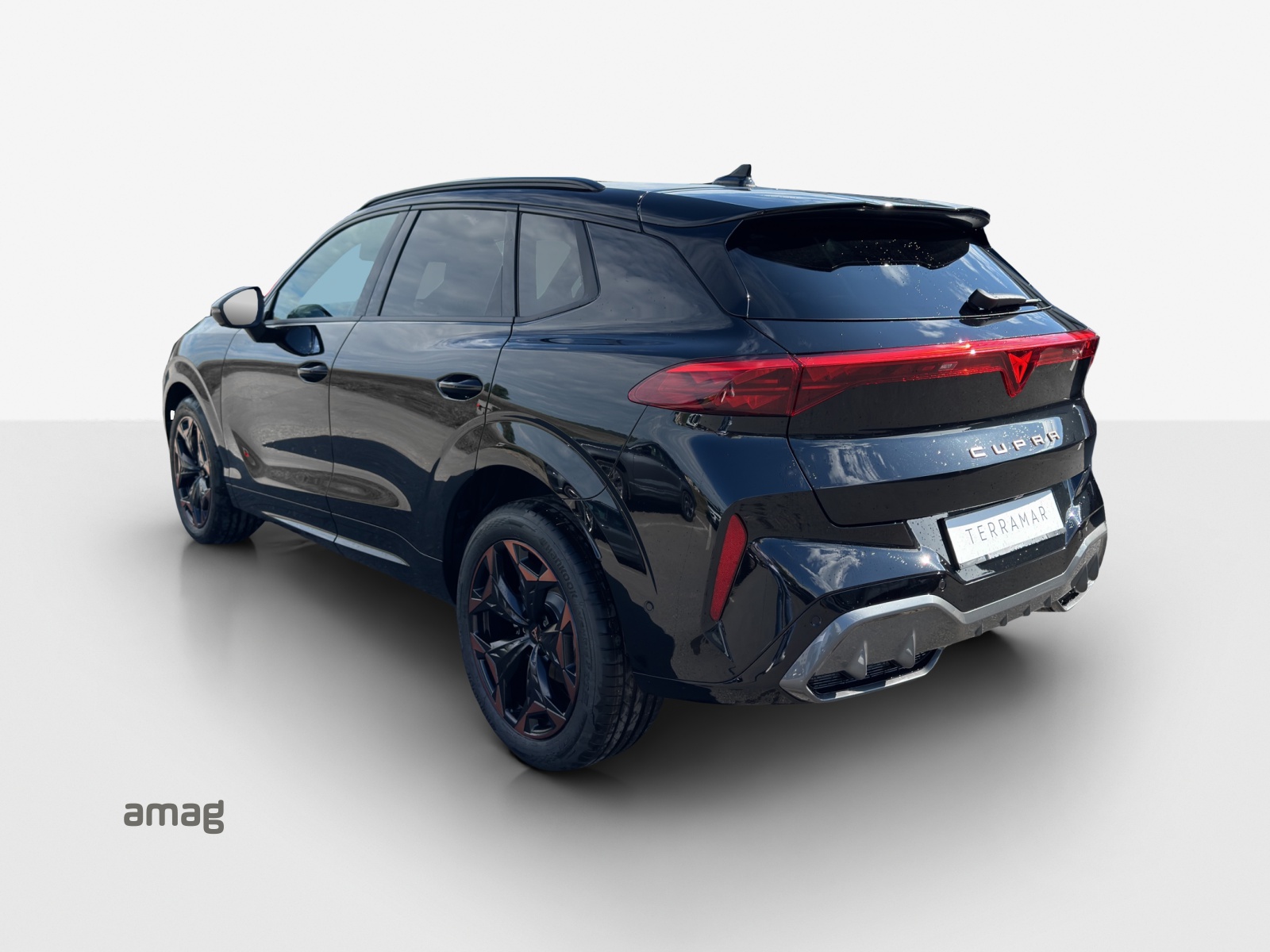 CUPRA Terramar 2.0 TSI Prime Edition DSG 4Drive-image-2