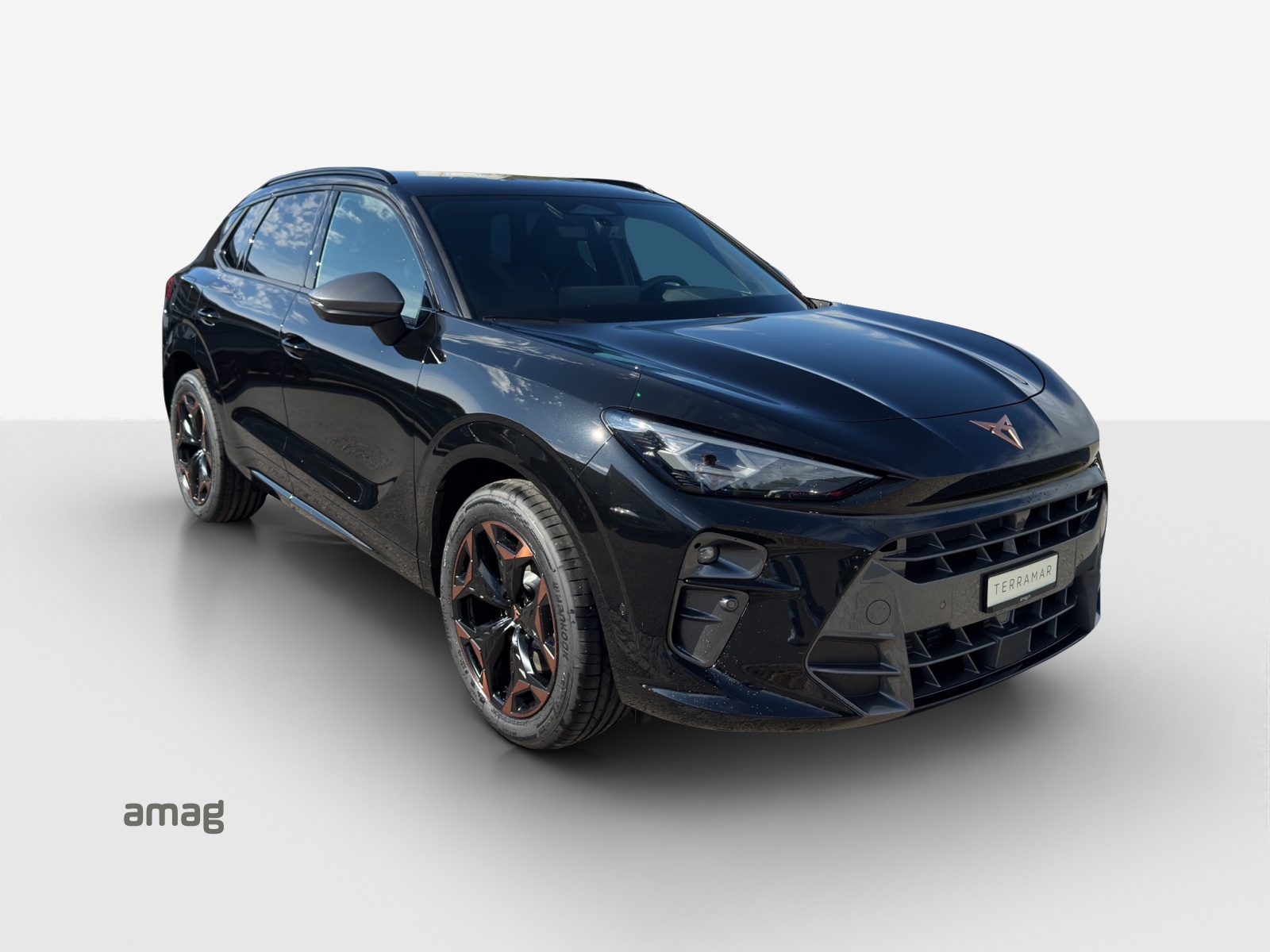 CUPRA Terramar 2.0 TSI Prime Edition DSG 4Drive-image-5