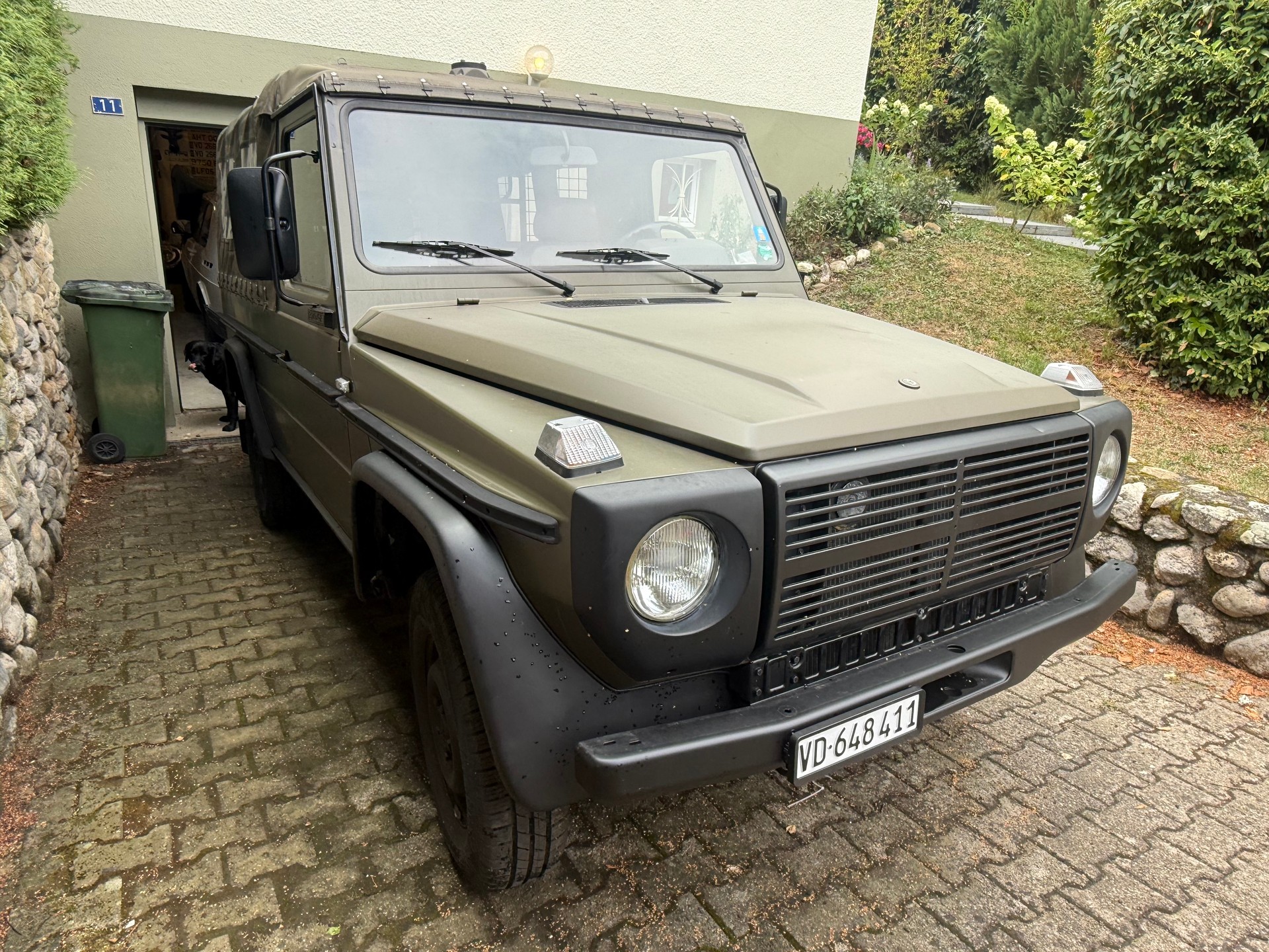 PUCH 230 GE-image-1