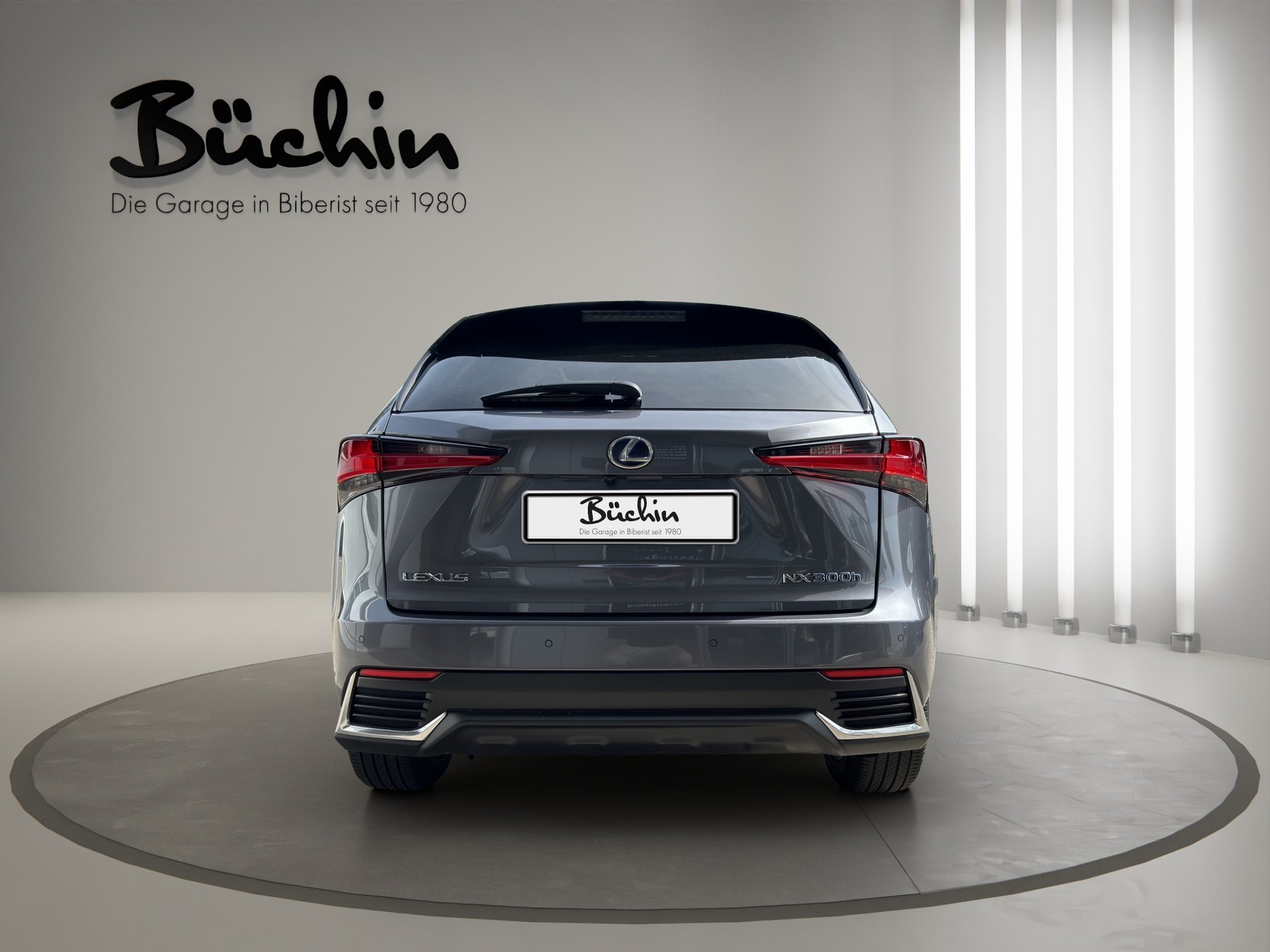 LEXUS NX 300h Excellence E-Four Automatic-image-5