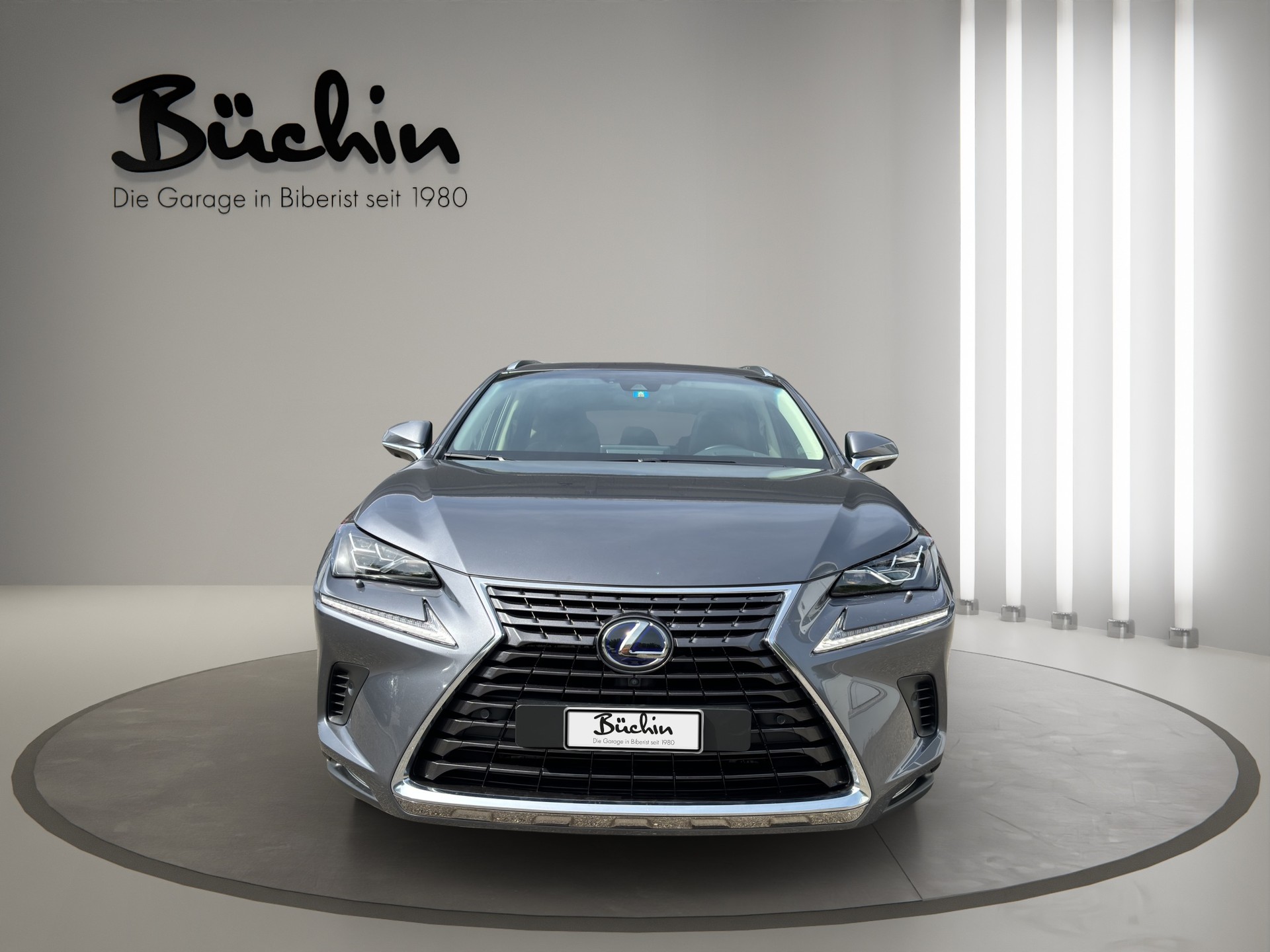 LEXUS NX 300h Excellence E-Four Automatic-image-1