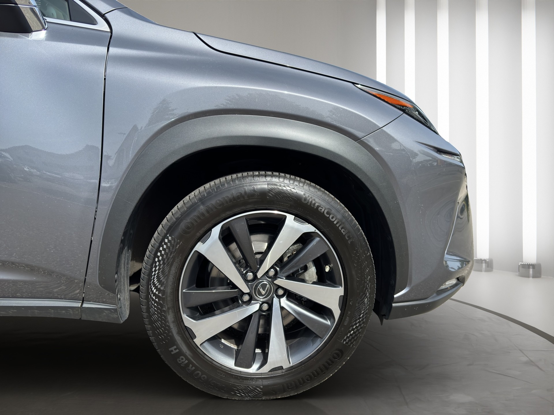LEXUS NX 300h Excellence E-Four Automatic-image-18