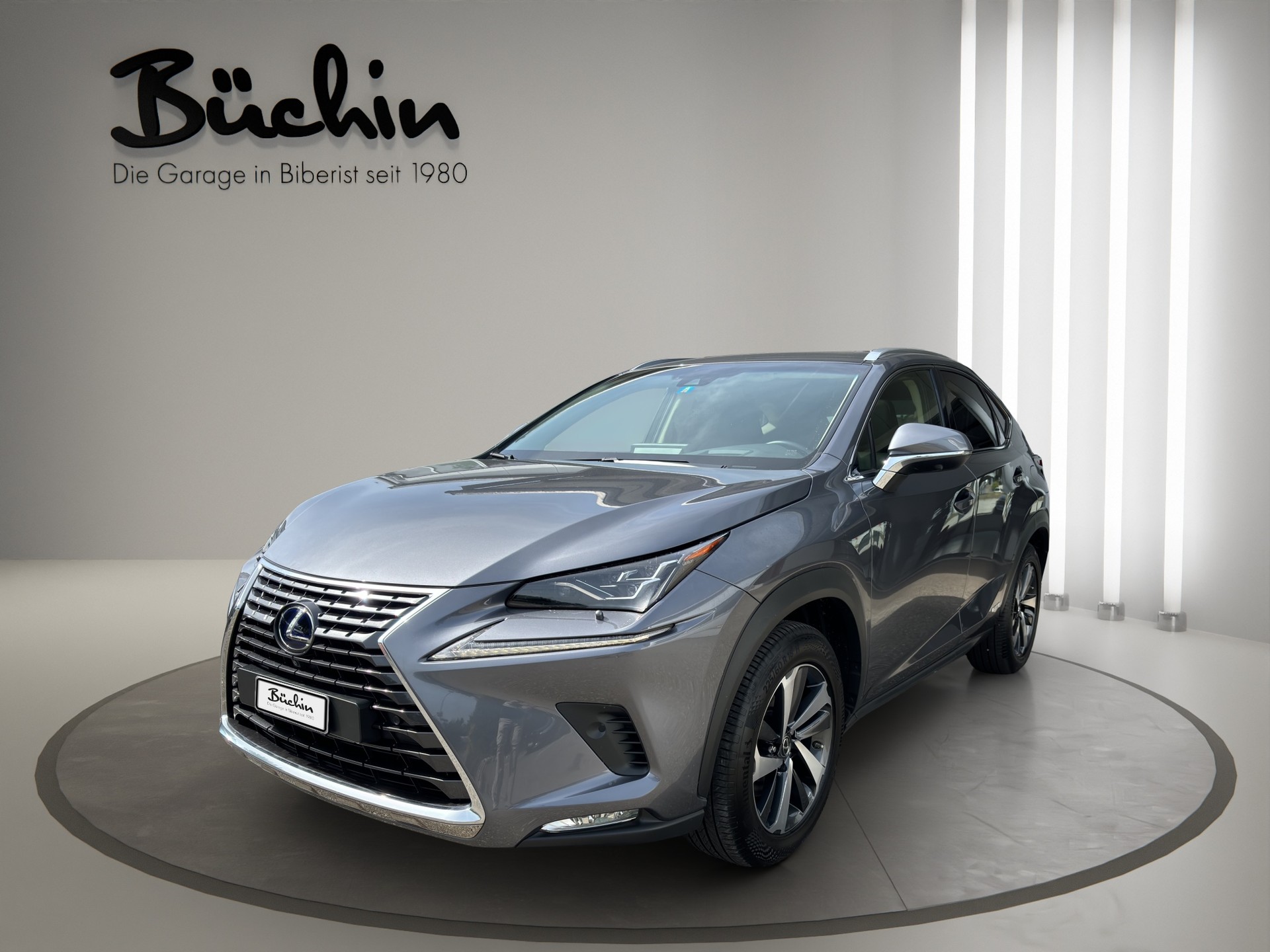 LEXUS NX 300h Excellence E-Four Automatic-image-2