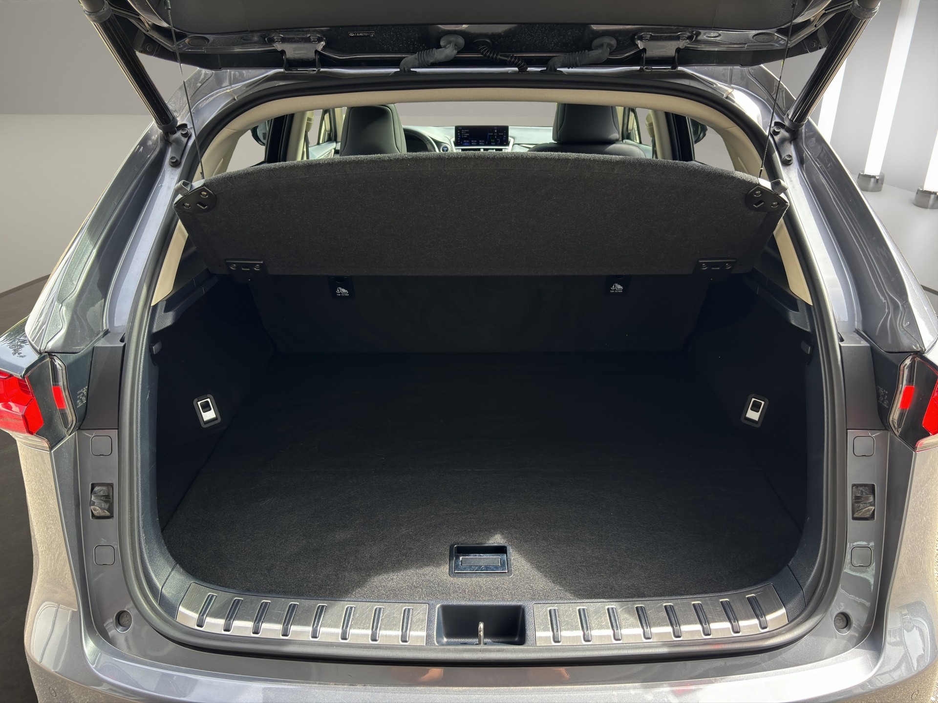 LEXUS NX 300h Excellence E-Four Automatic-image-17