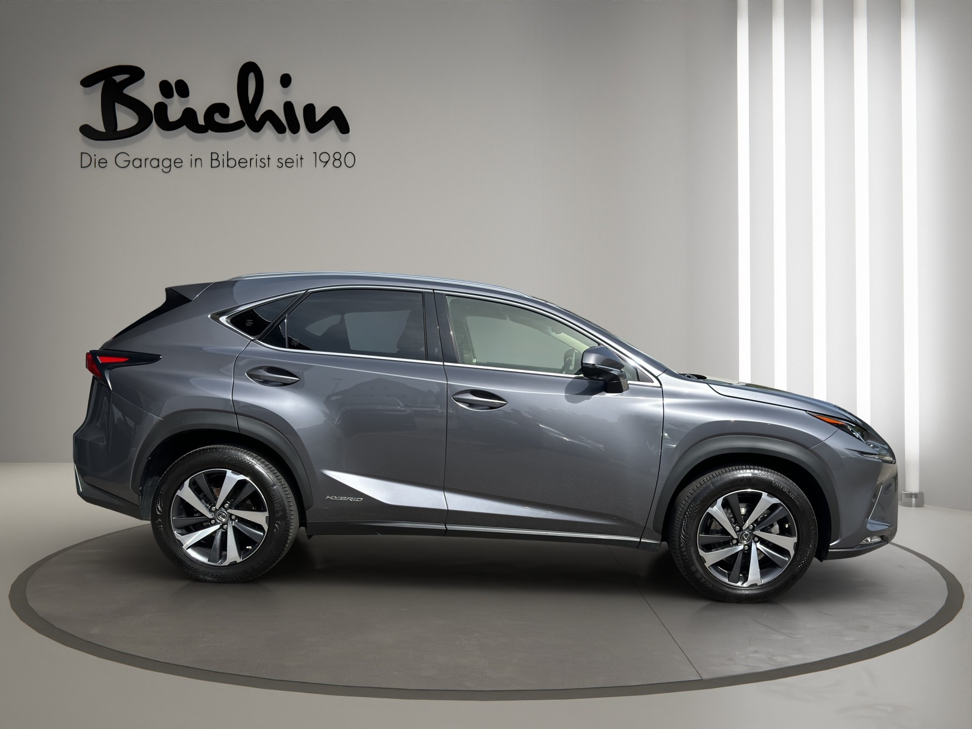 LEXUS NX 300h Excellence E-Four Automatic-image-7