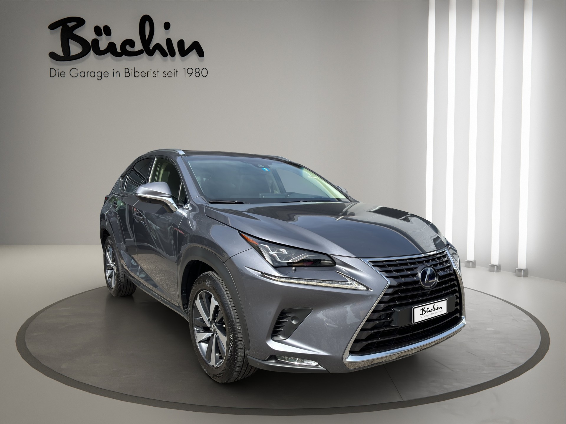 LEXUS NX 300h Excellence E-Four Automatic-image-8