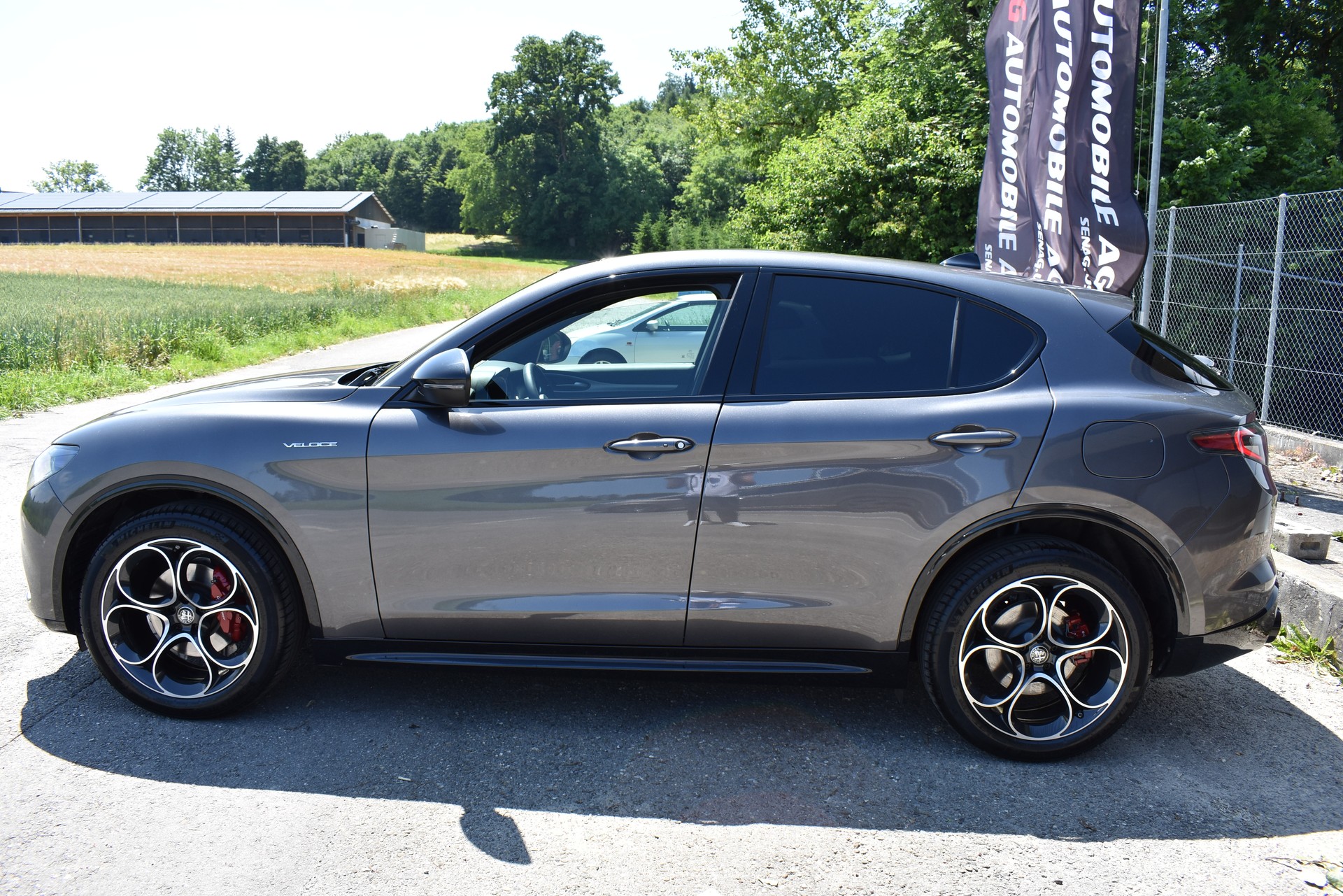 ALFA ROMEO Stelvio 2.0 Ti Q4 AT8-image-8