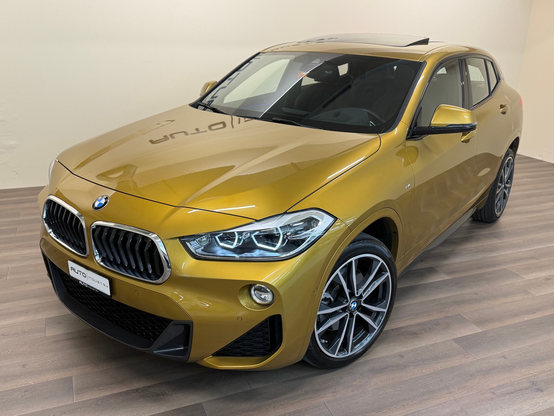 BMW X2 sDrive 20i M Sport Steptronic DSK-showroom-element-1