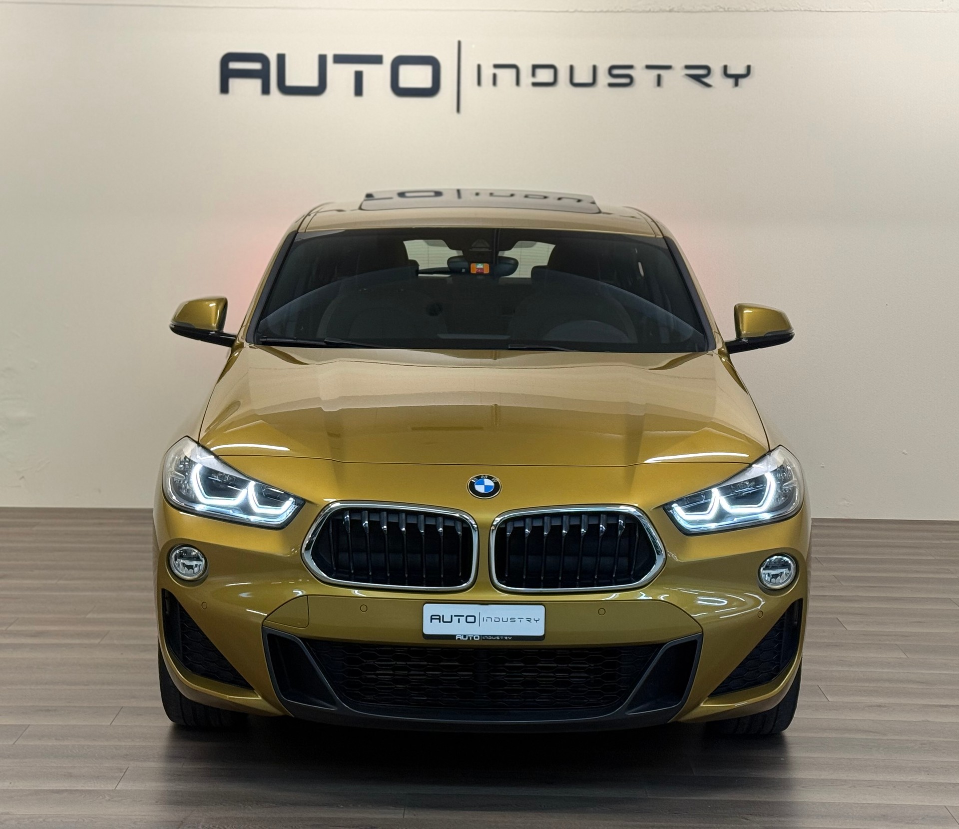 BMW X2 sDrive 20i M Sport Steptronic DSK-image-6