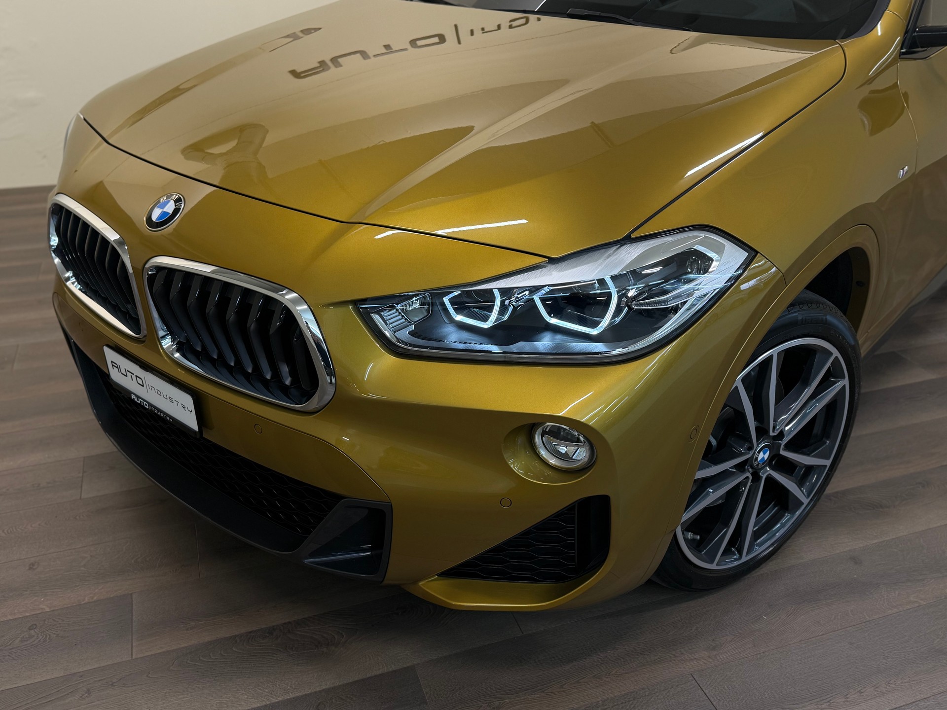 BMW X2 sDrive 20i M Sport Steptronic DSK-showroom-element-2