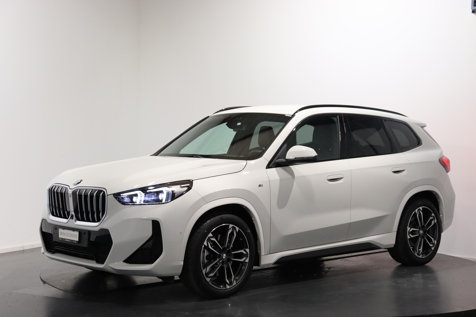 BMW X1 23i xDrive paddles-image-0