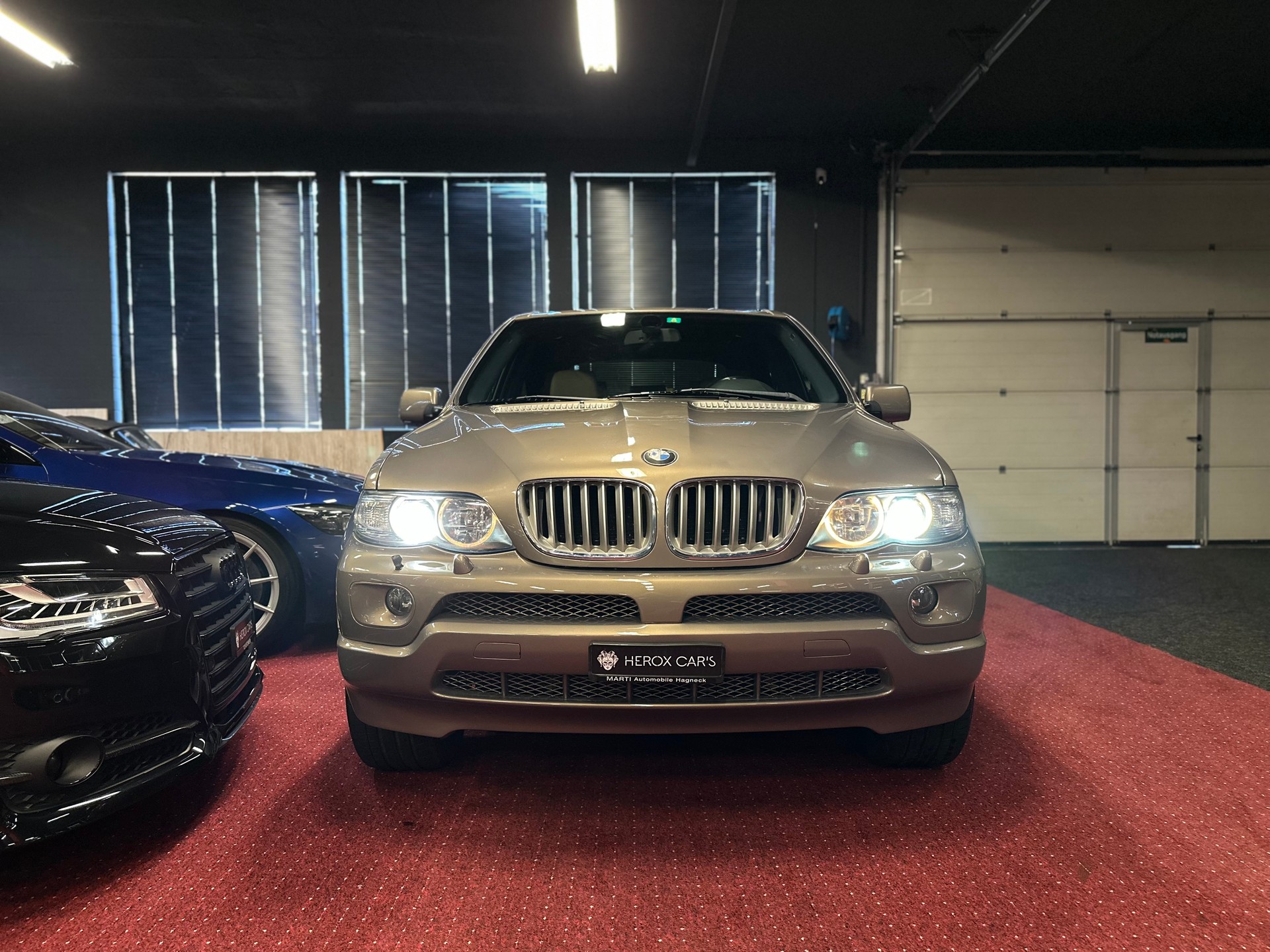 BMW X5 4.4i V8 / ** M-Sport Paket ** / Frisch ab MFK & Grossem Service-image-6