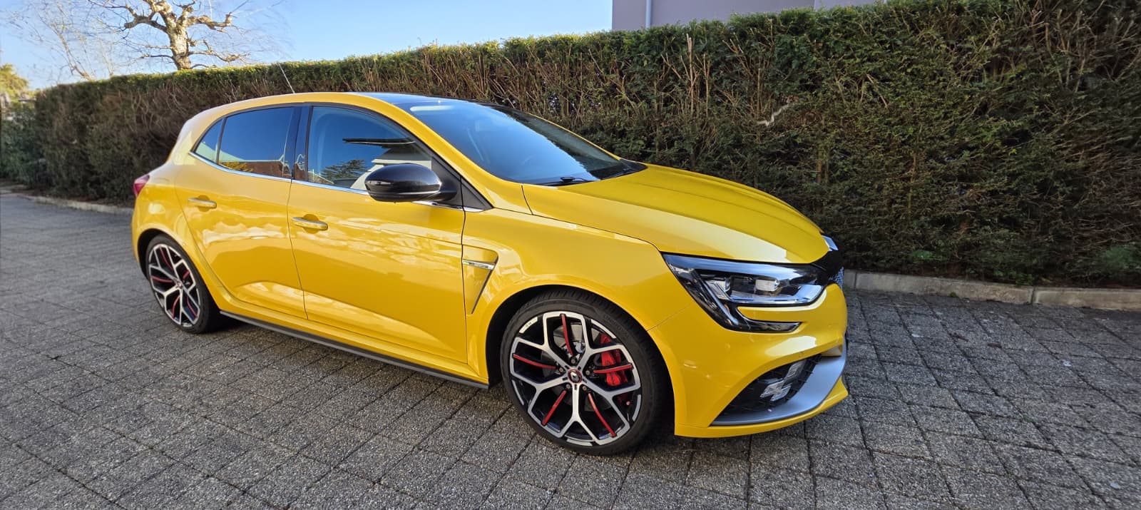 RENAULT Mégane R.S. Trophy 300 EDC-image-2
