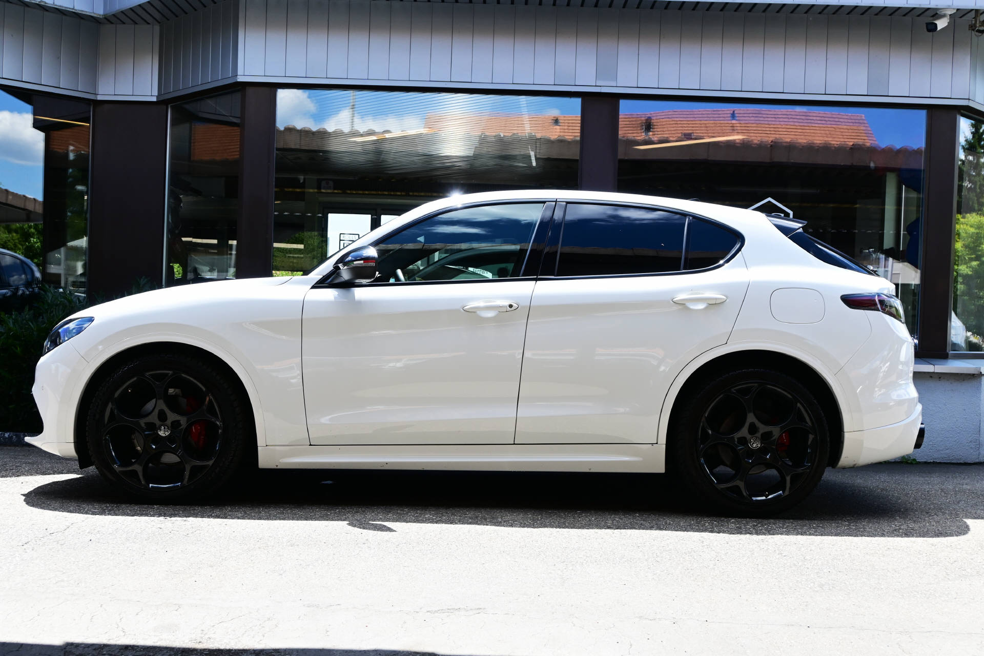 ALFA ROMEO Stelvio 2.0 Q4 280 Tributo Italiano-image-5