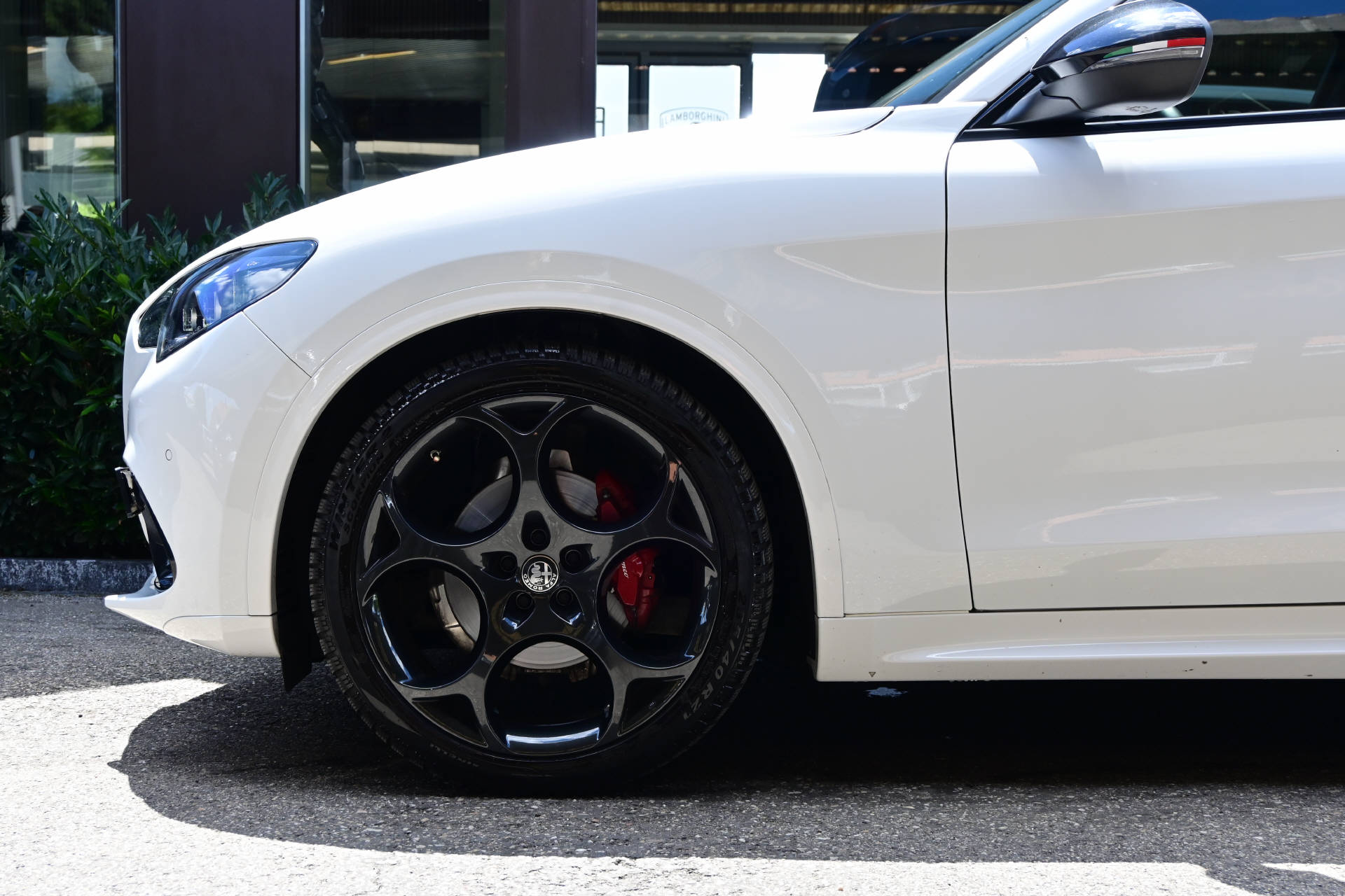 ALFA ROMEO Stelvio 2.0 Q4 280 Tributo Italiano-image-4