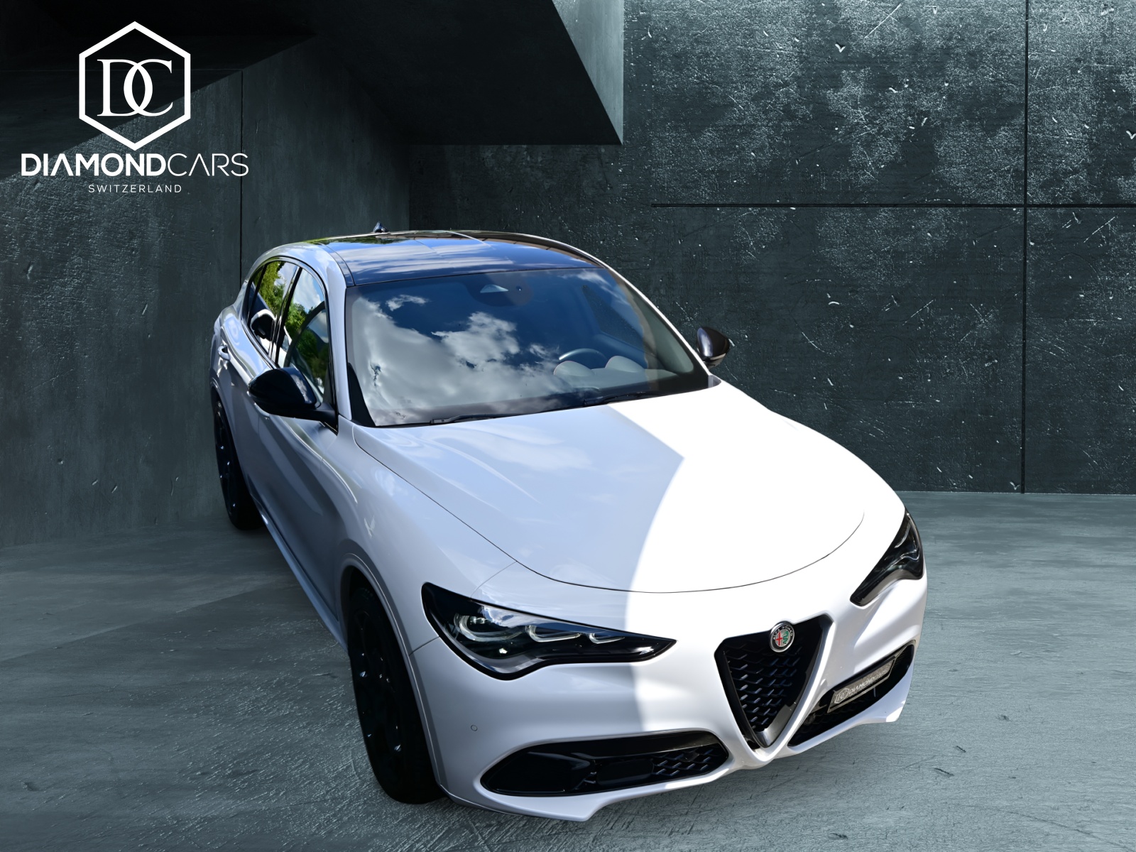 ALFA ROMEO Stelvio 2.0 Q4 280 Tributo Italiano-image-2