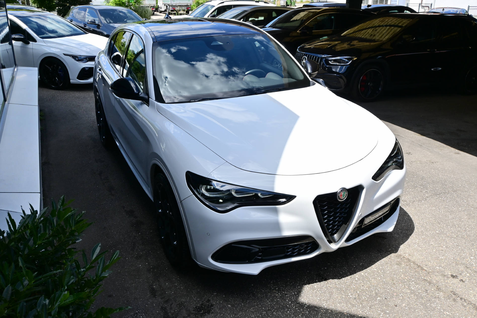 ALFA ROMEO Stelvio 2.0 Q4 280 Tributo Italiano-showroom-element-2