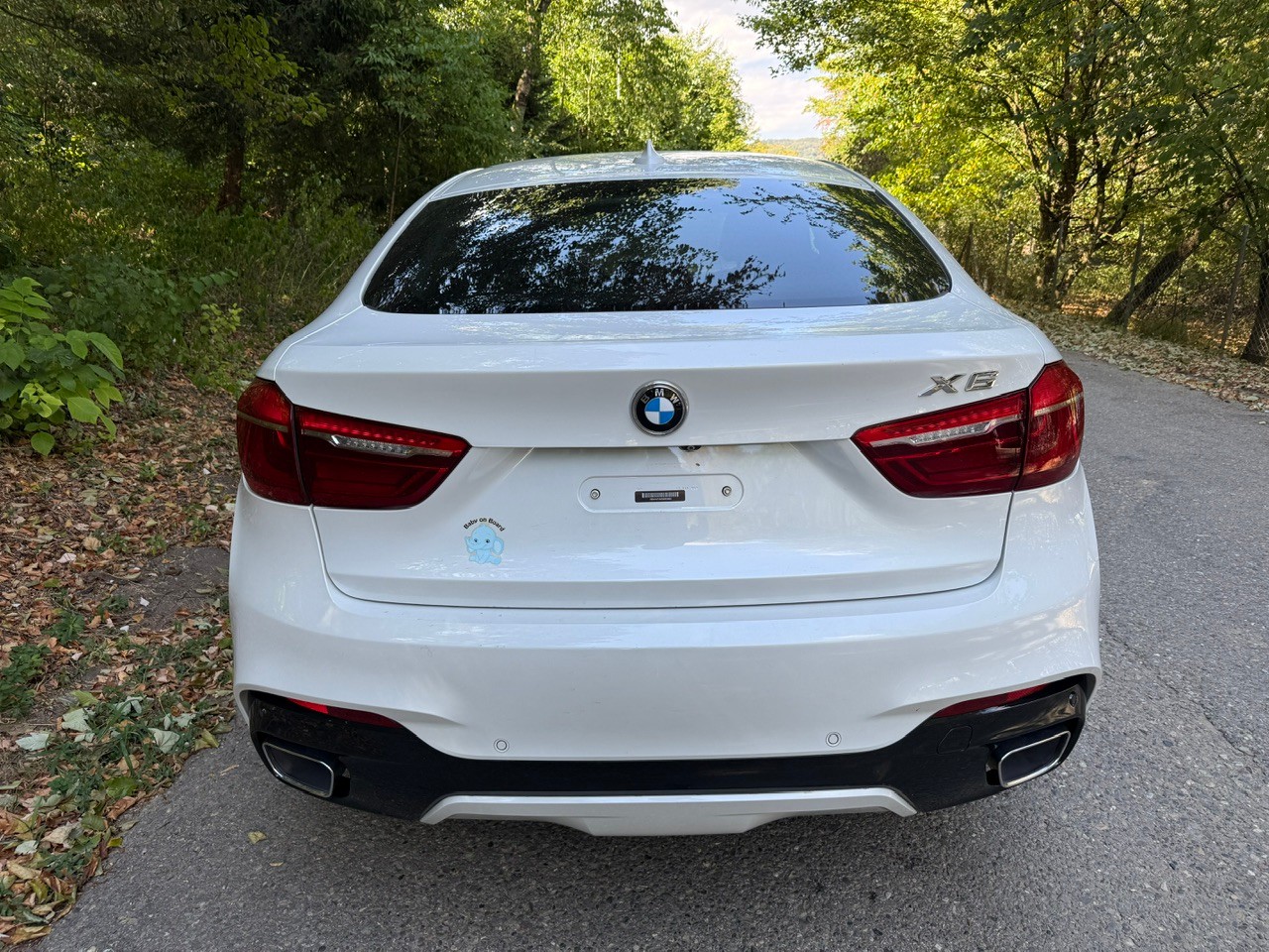 BMW X6 xDrive 30d Steptronic LCi Modell MSport-image-4