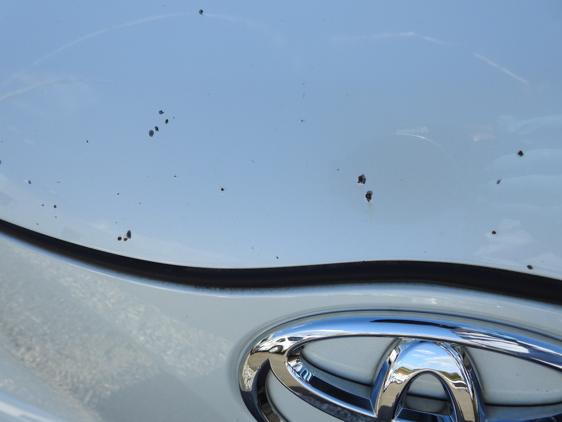 TOYOTA iQ 1.33 Dual VVT-i Linea Sol Premium-image-29