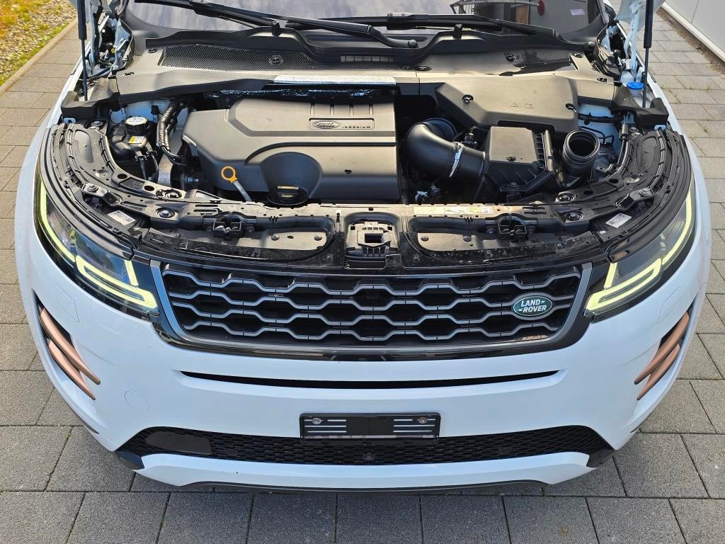 LAND ROVER Range Rover Evoque R-Dyn First Edi P 250 HSE AT9-image-7