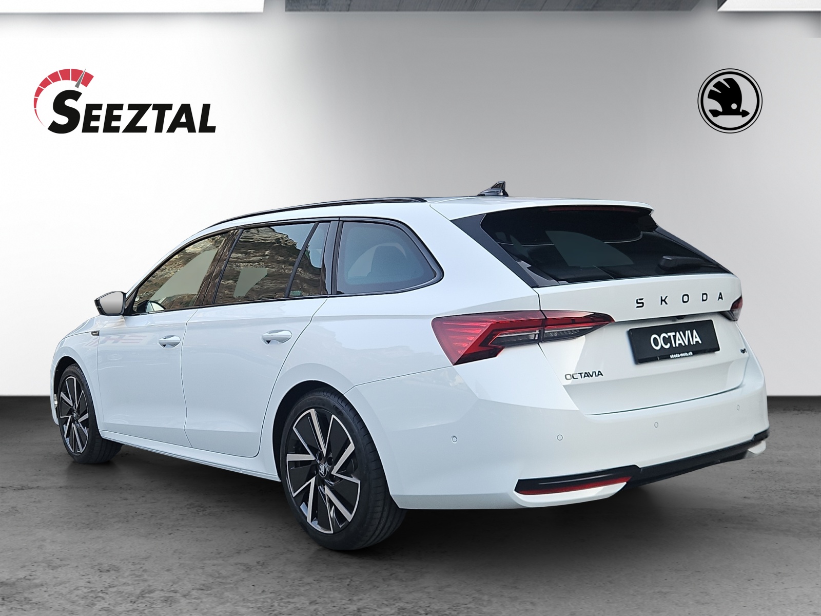 SKODA Octavia Combi 2.0 TSI DSG Dynamic 4x4-showroom-element-2