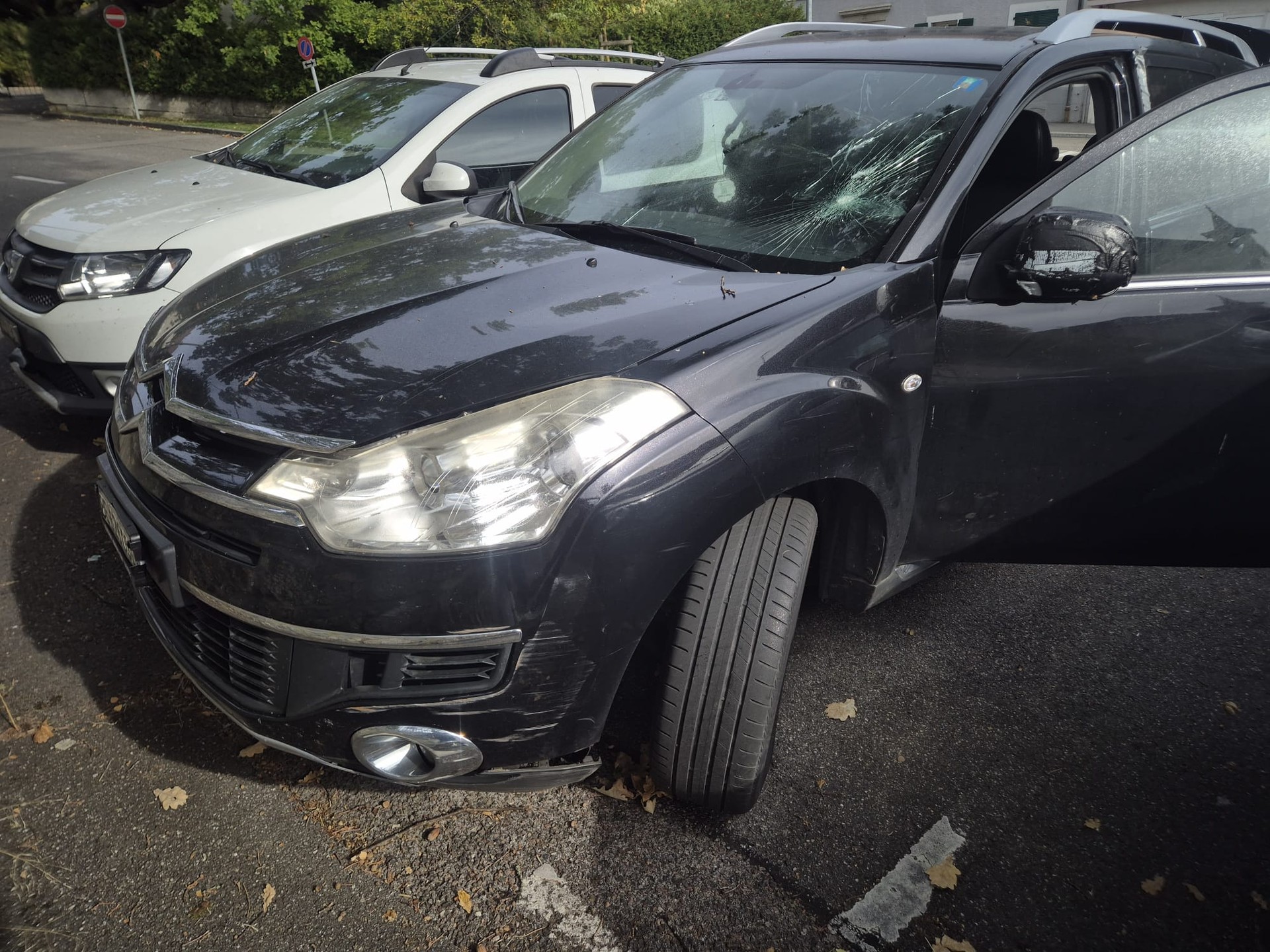 CITROEN C-Crosser 2.2 HDi Exclusive DCS6-image-1