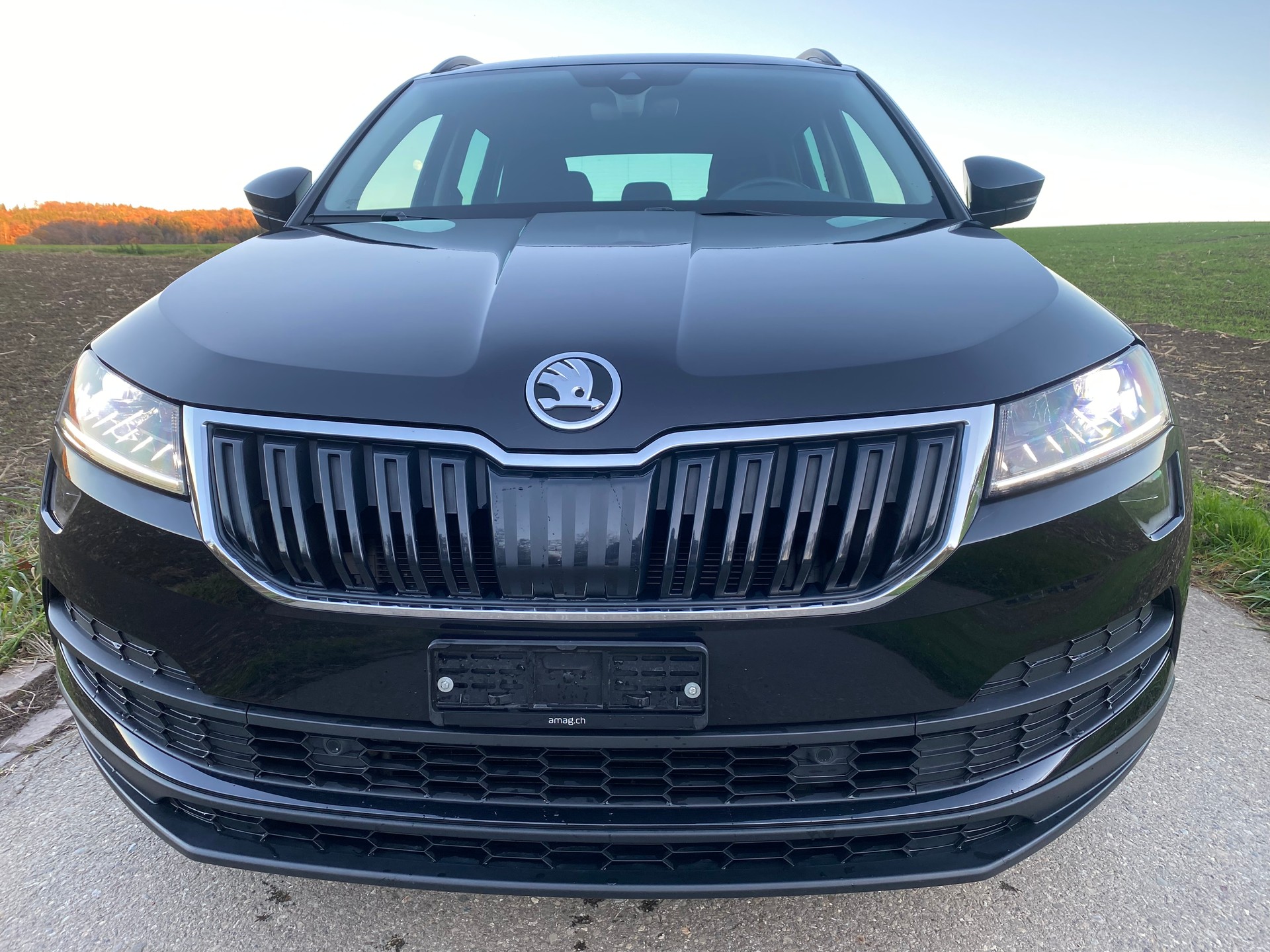 SKODA Karoq 1.5 TSI ACT Ambition DSG-image-2