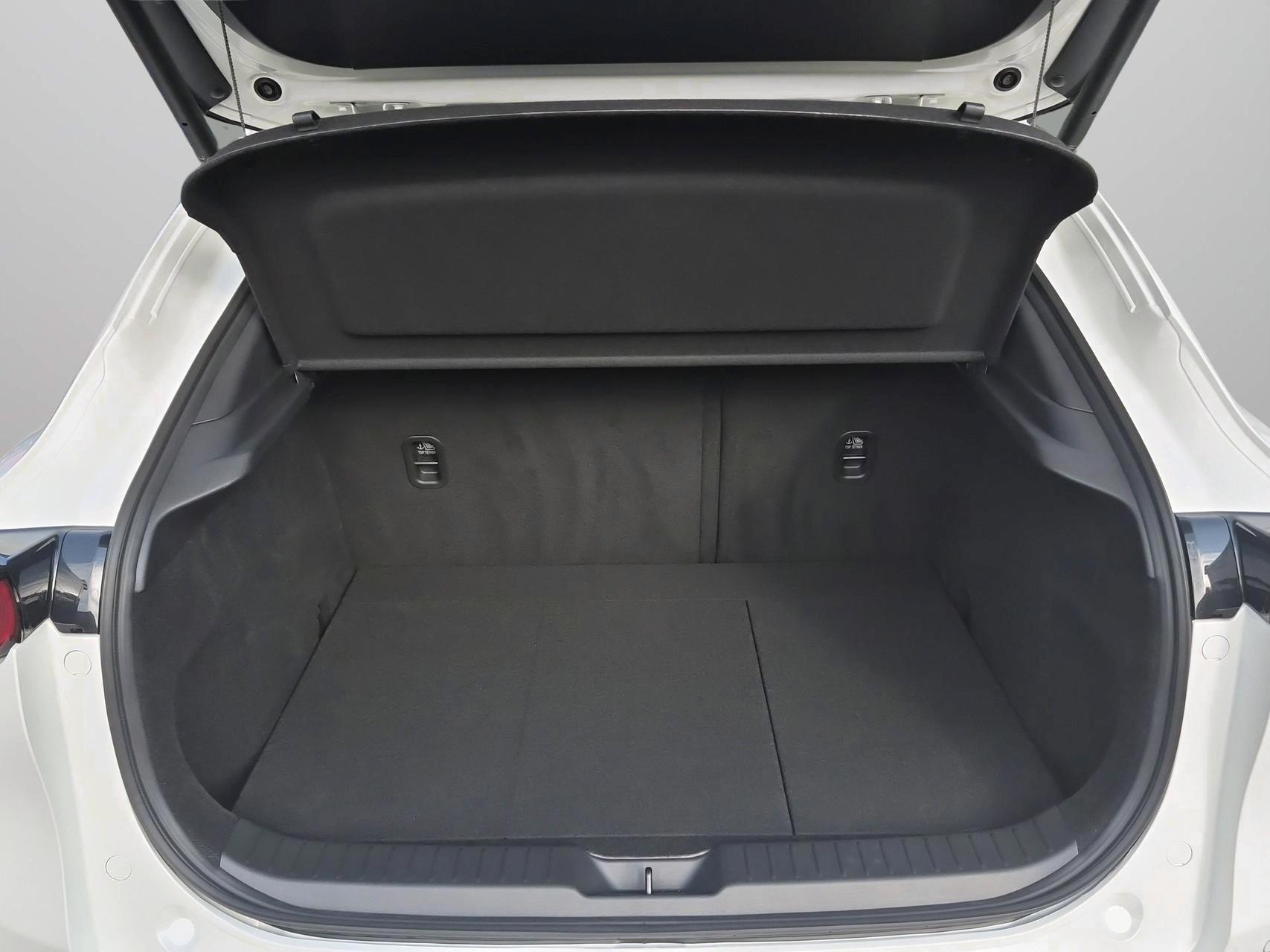 MAZDA CX-30 SKYACTIV-X 186 M Hybrid Homura AWD AT-image-15