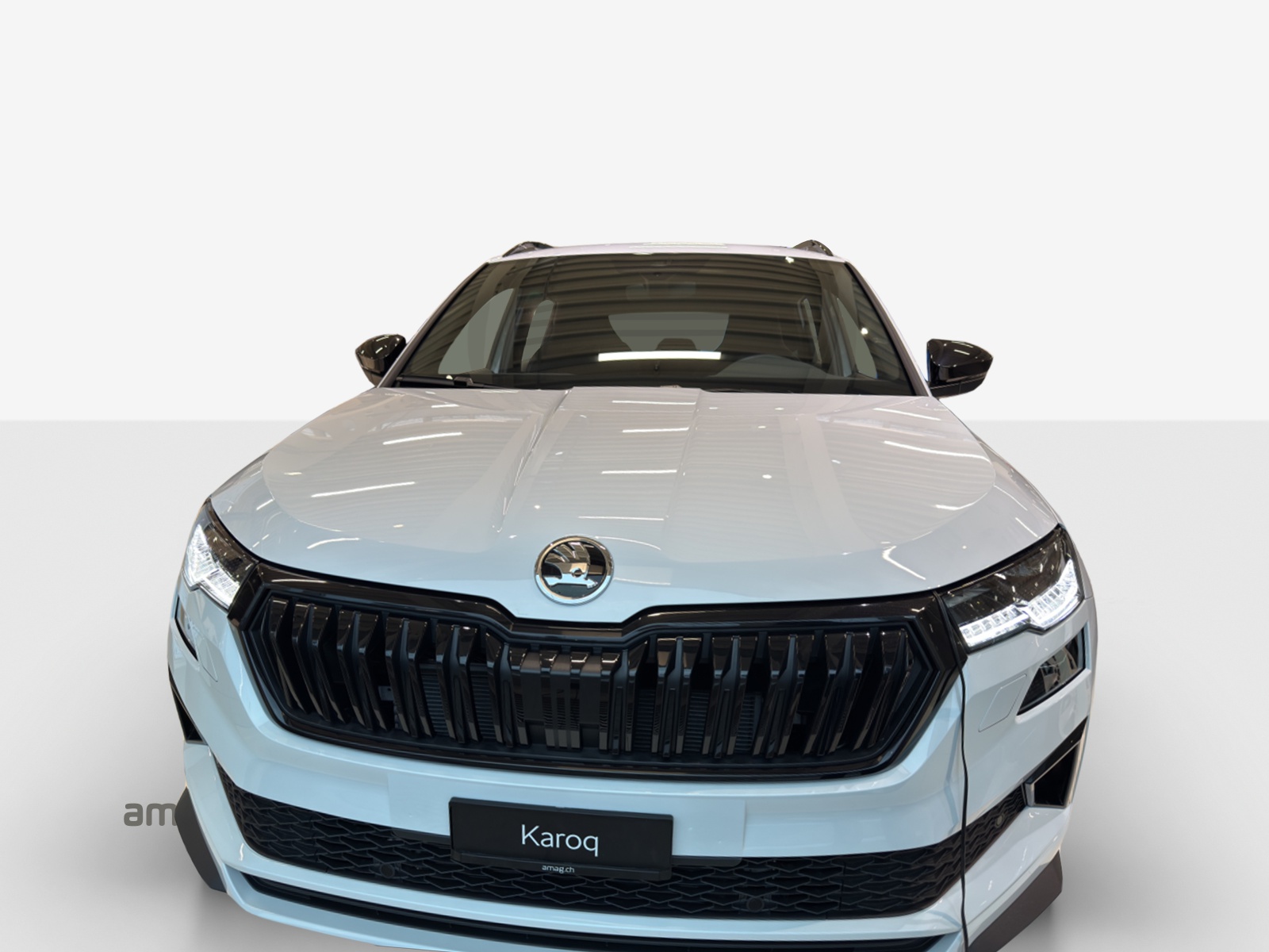 SKODA Karoq 1.5 TSI SportLine DSG-image-6