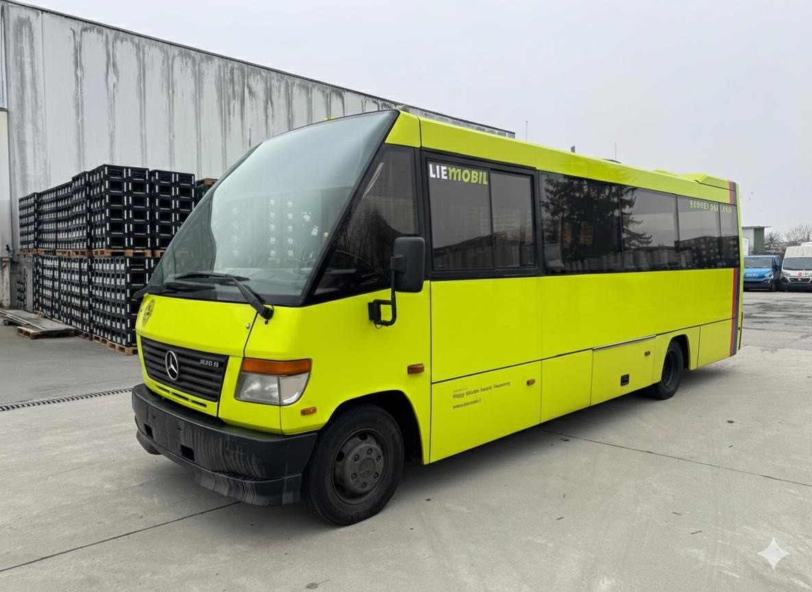 MERCEDES-BENZ Vario-image-1