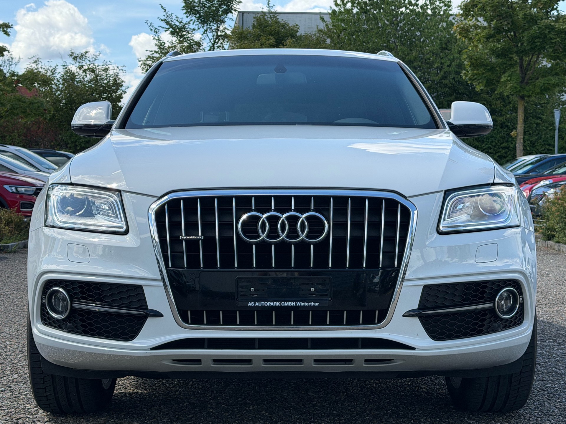 AUDI Q5 2.0 TDI quattro S-tronic-showroom-element-1