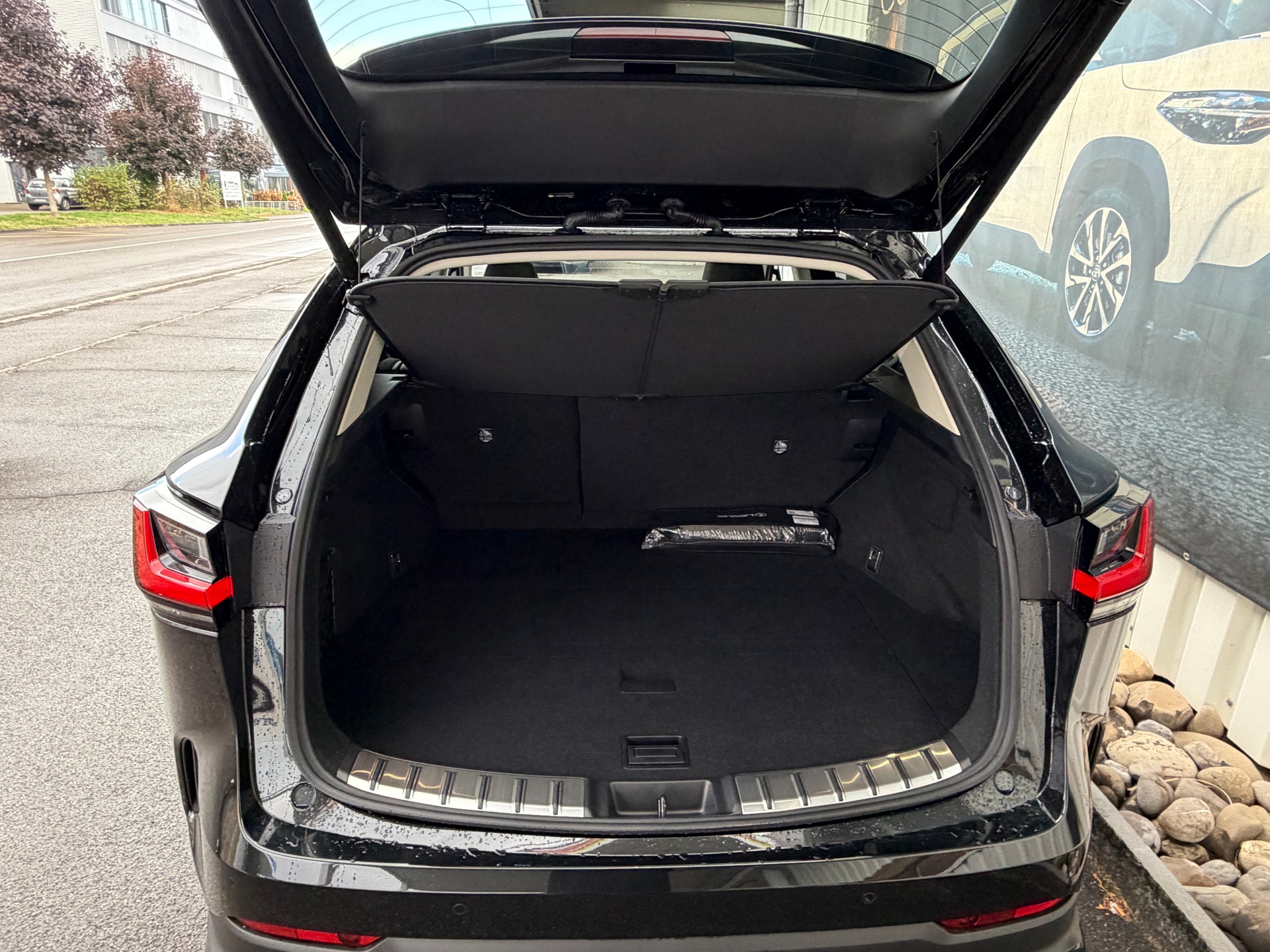 LEXUS NX 450h+ E-FOUR Comfort-image-6