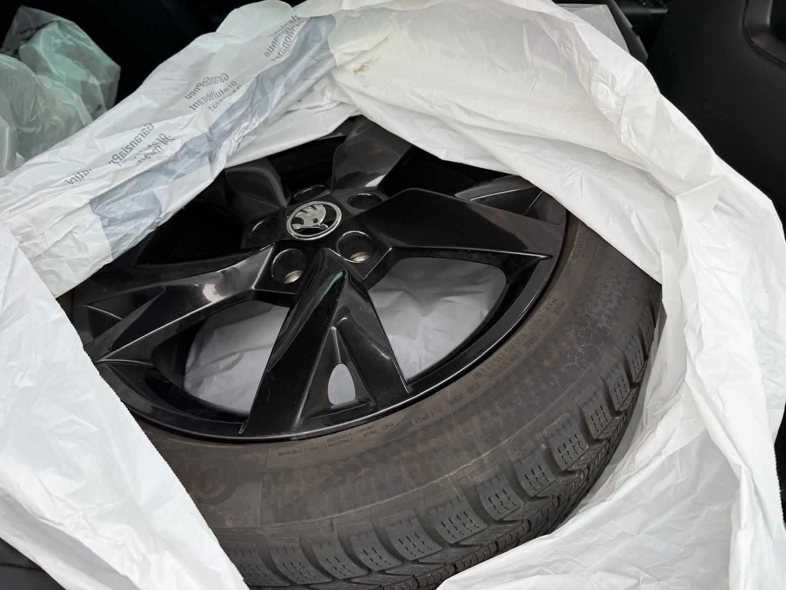 SKODA Octavia Combi 2.0 TSI RS DSG-image-12