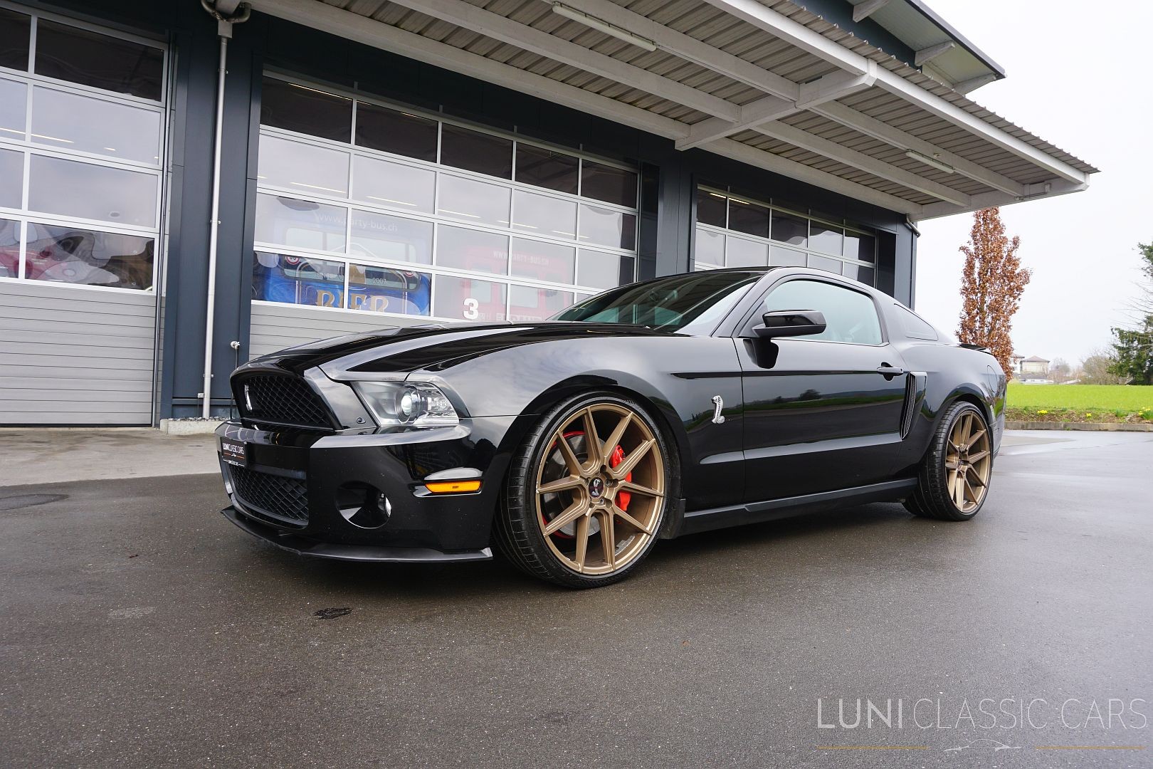 FORD Mustang Shelby GT500-image-1