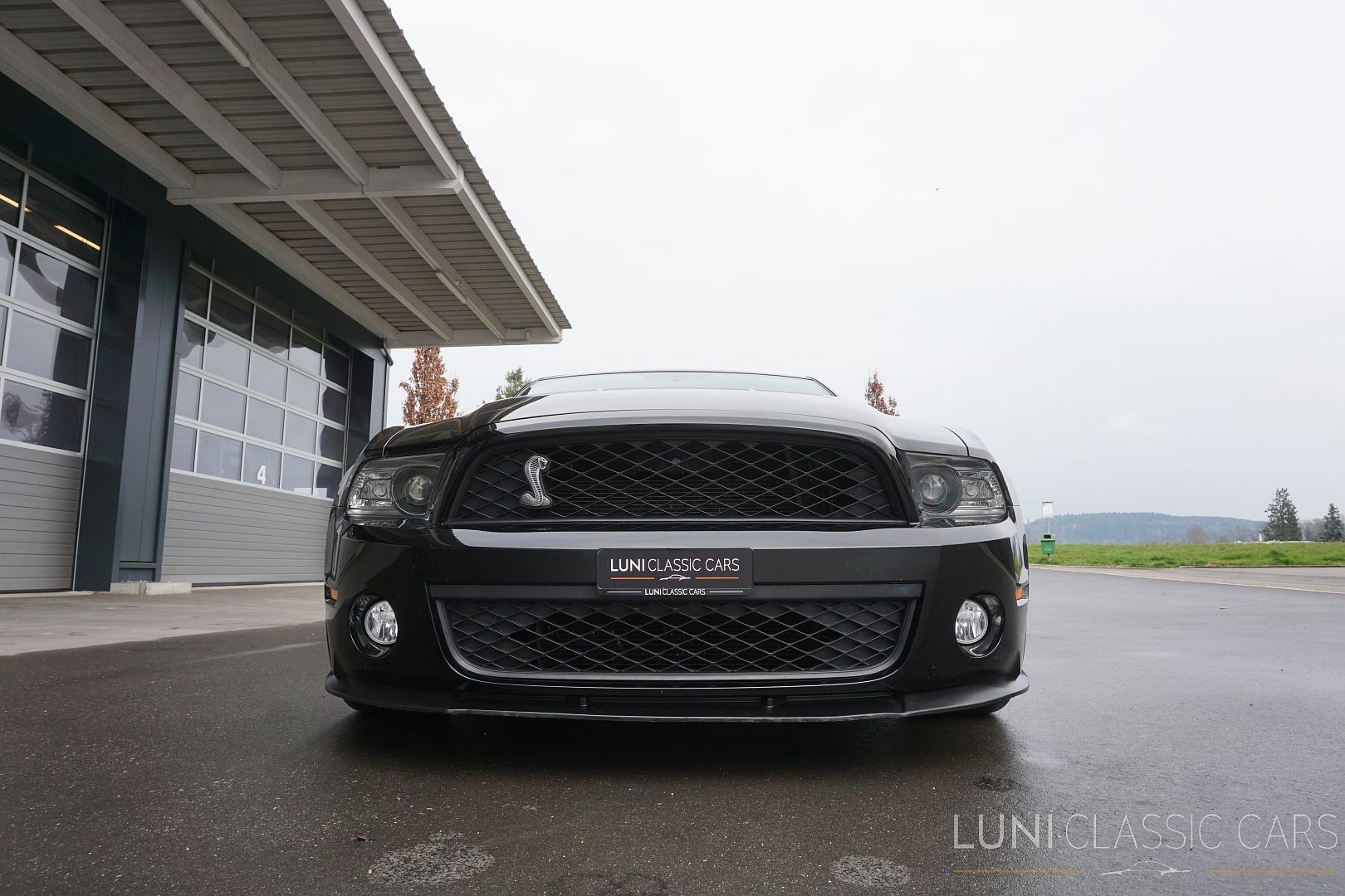 FORD Mustang Shelby GT500-image-6