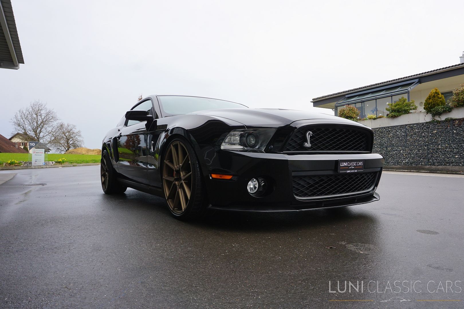 FORD Mustang Shelby GT500-image-5