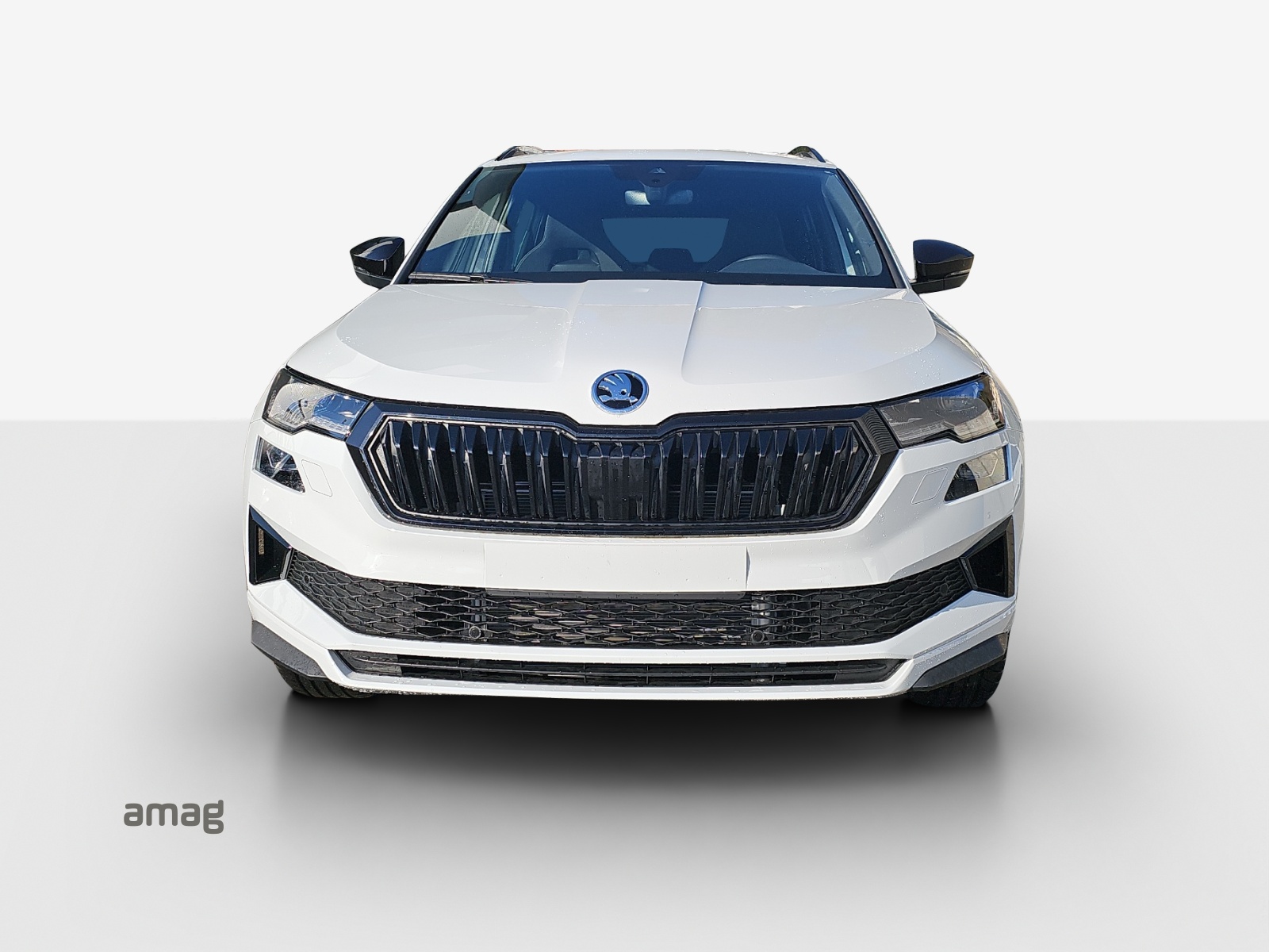 SKODA Karoq 2.0 TSI SportLine 4x4 DSG-image-6
