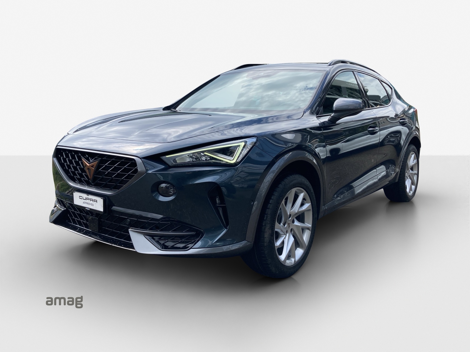 CUPRA Formentor 2.0TSI 4Drive Inicio DSG-image-0