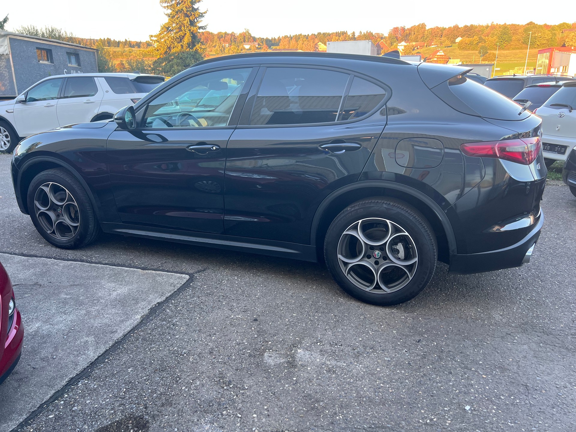 ALFA ROMEO Stelvio 2.2 JTDM Super Q4 Automatic-image-6