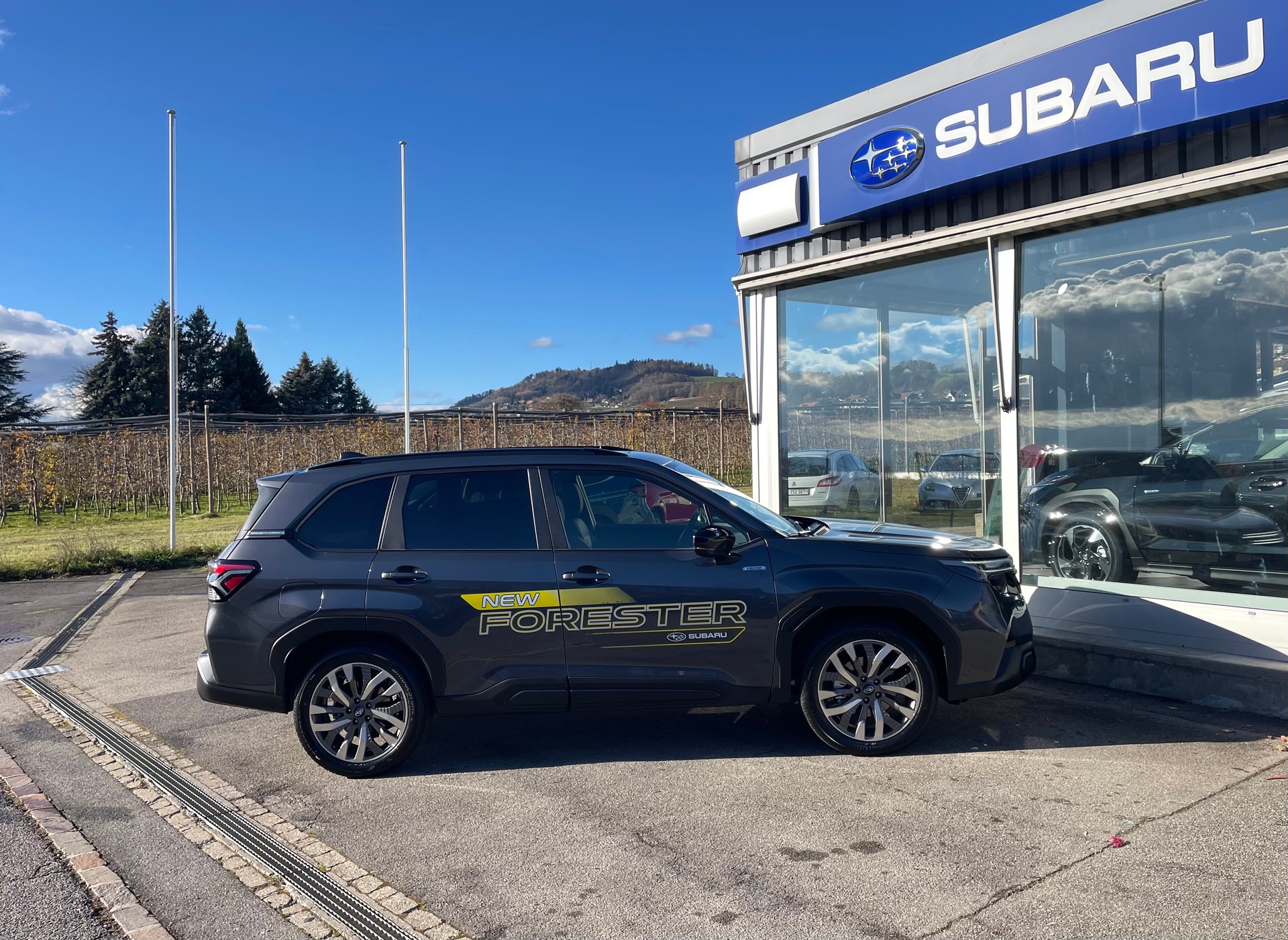 SUBARU Forester 2.0i e-Boxer Luxury Lineartronic-image-10