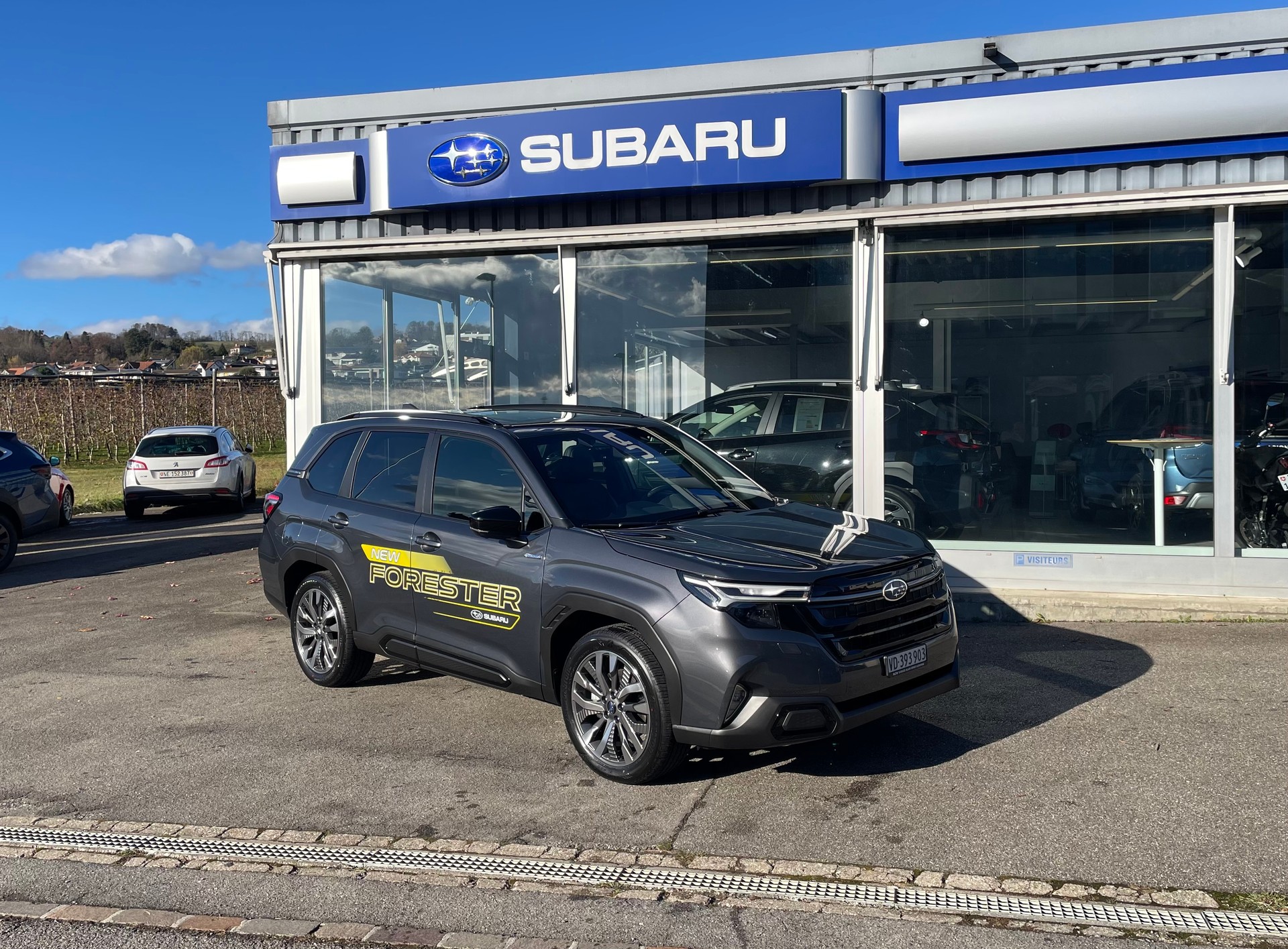 SUBARU Forester 2.0i e-Boxer Luxury Lineartronic-image-11