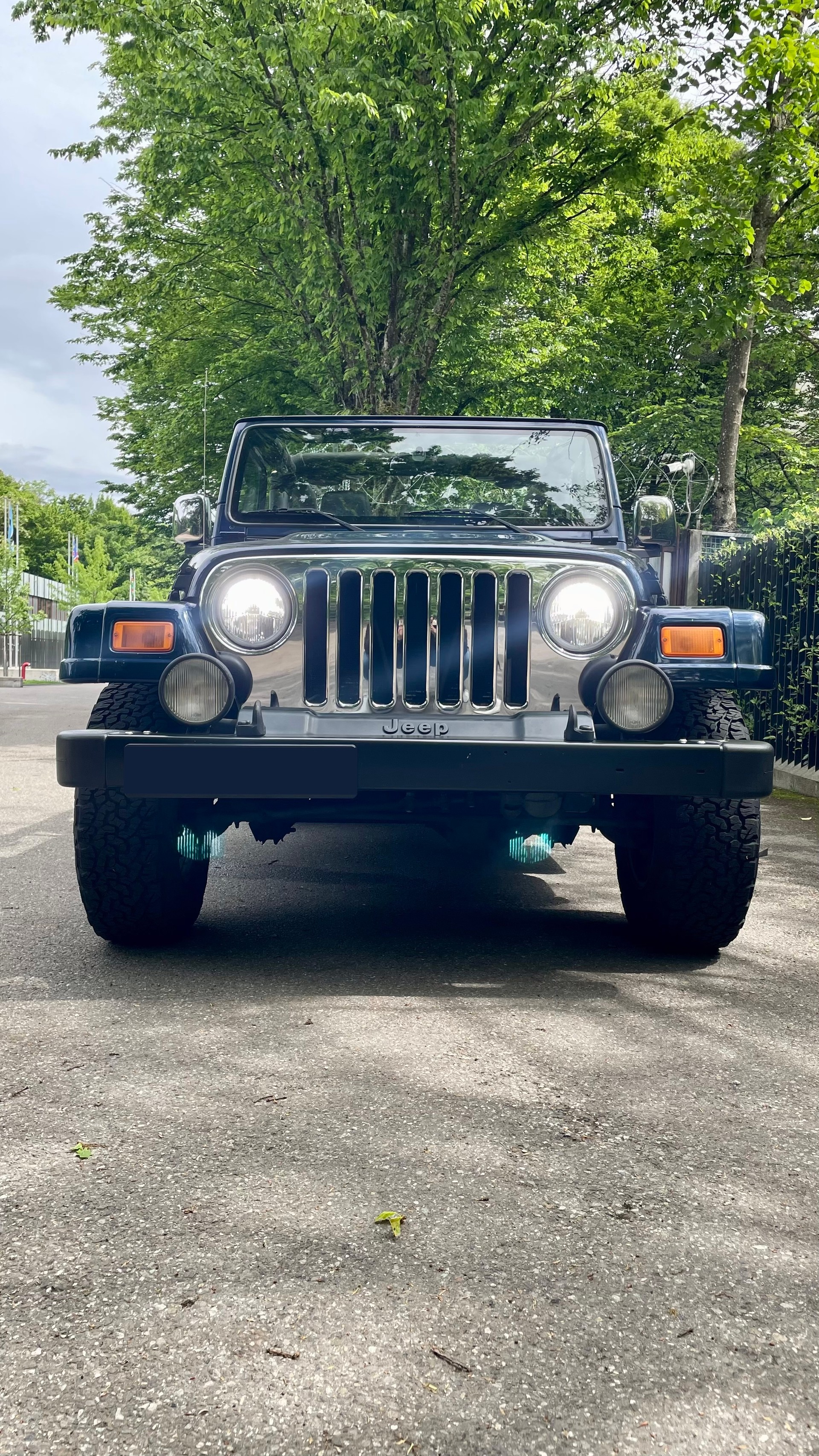 JEEP Wrangler 4.0 Unlimited LJ-image-8