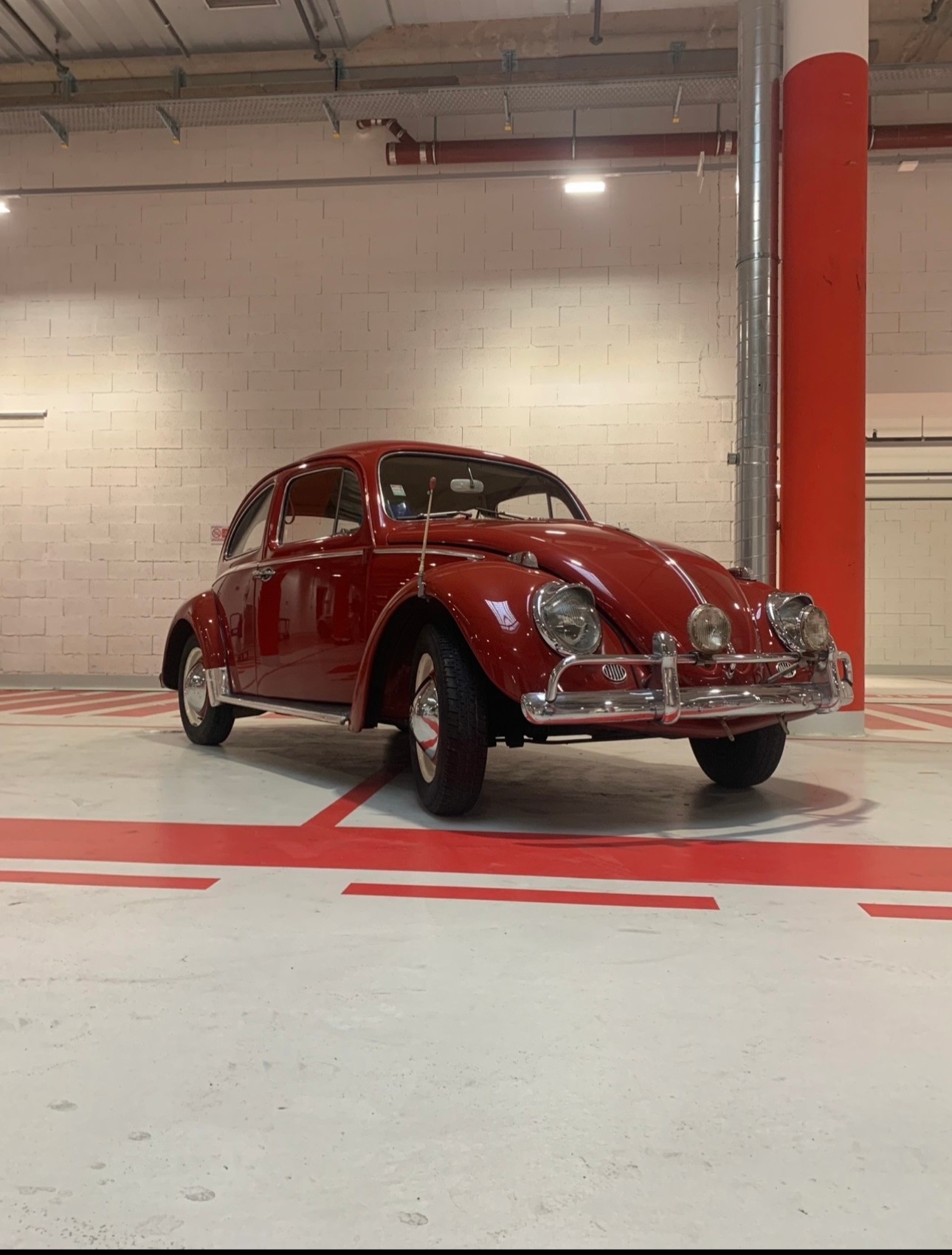 VW Käfer-image-1