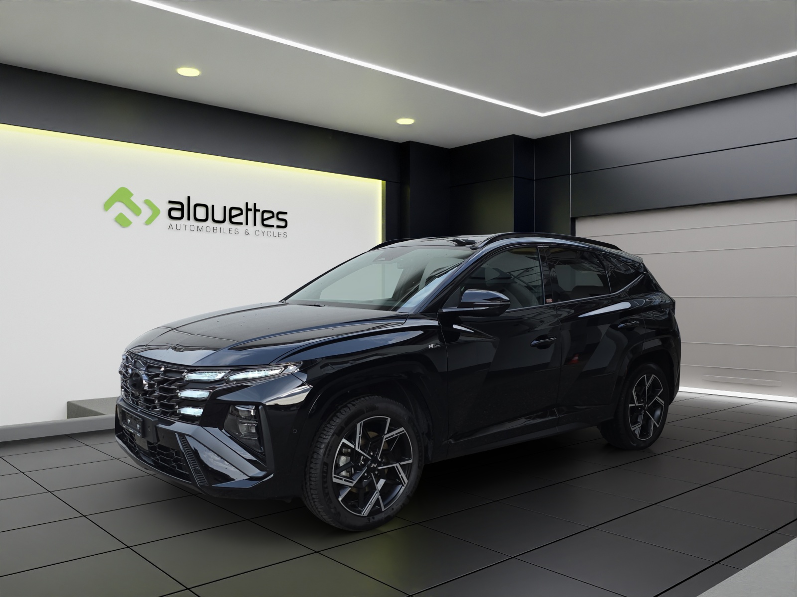 HYUNDAI Tucson 1.6 TGDI HEV N Line LUX pack 4WD-image-0