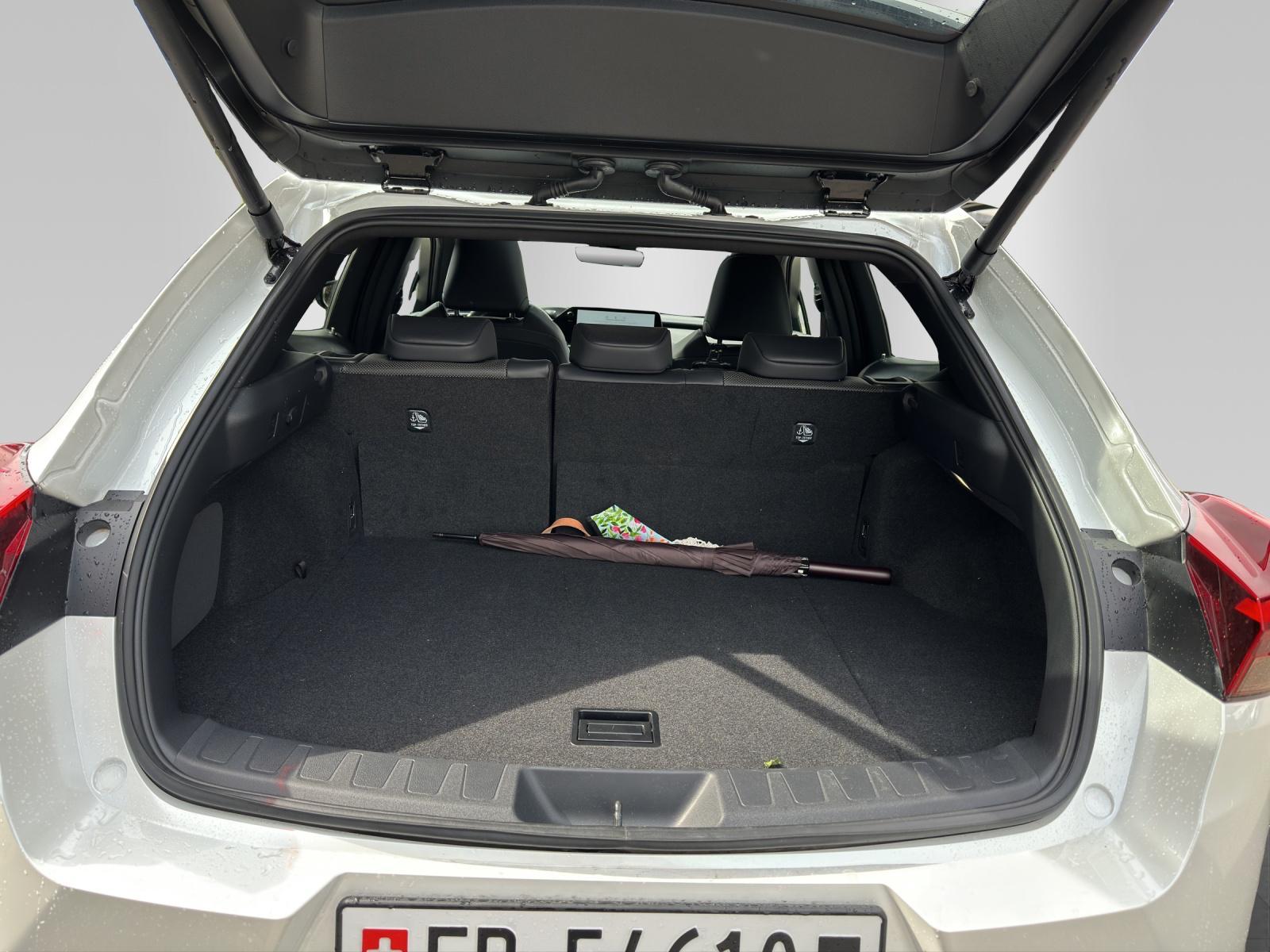 LEXUS UX 300h Excellence-image-12