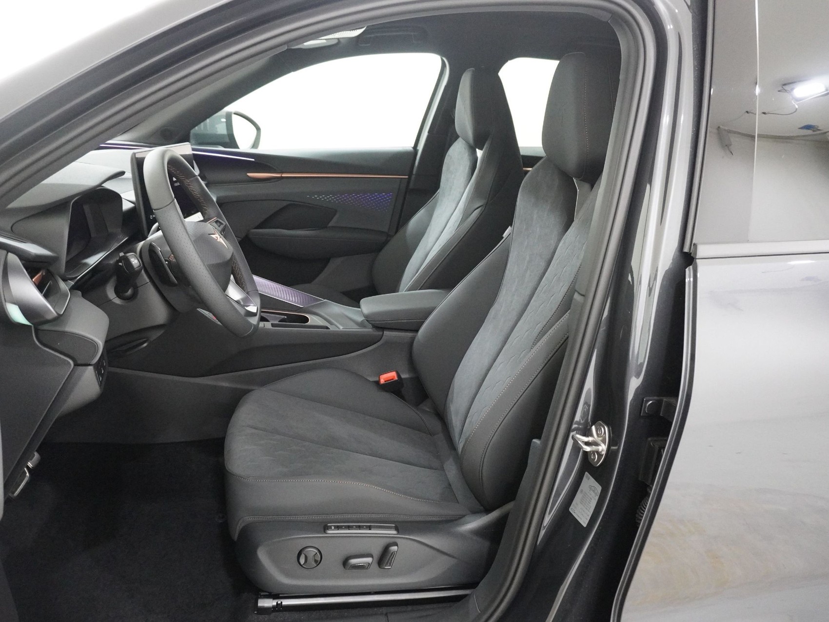 CUPRA Terramar 2.0 TSI 4Drive DSG-image-12