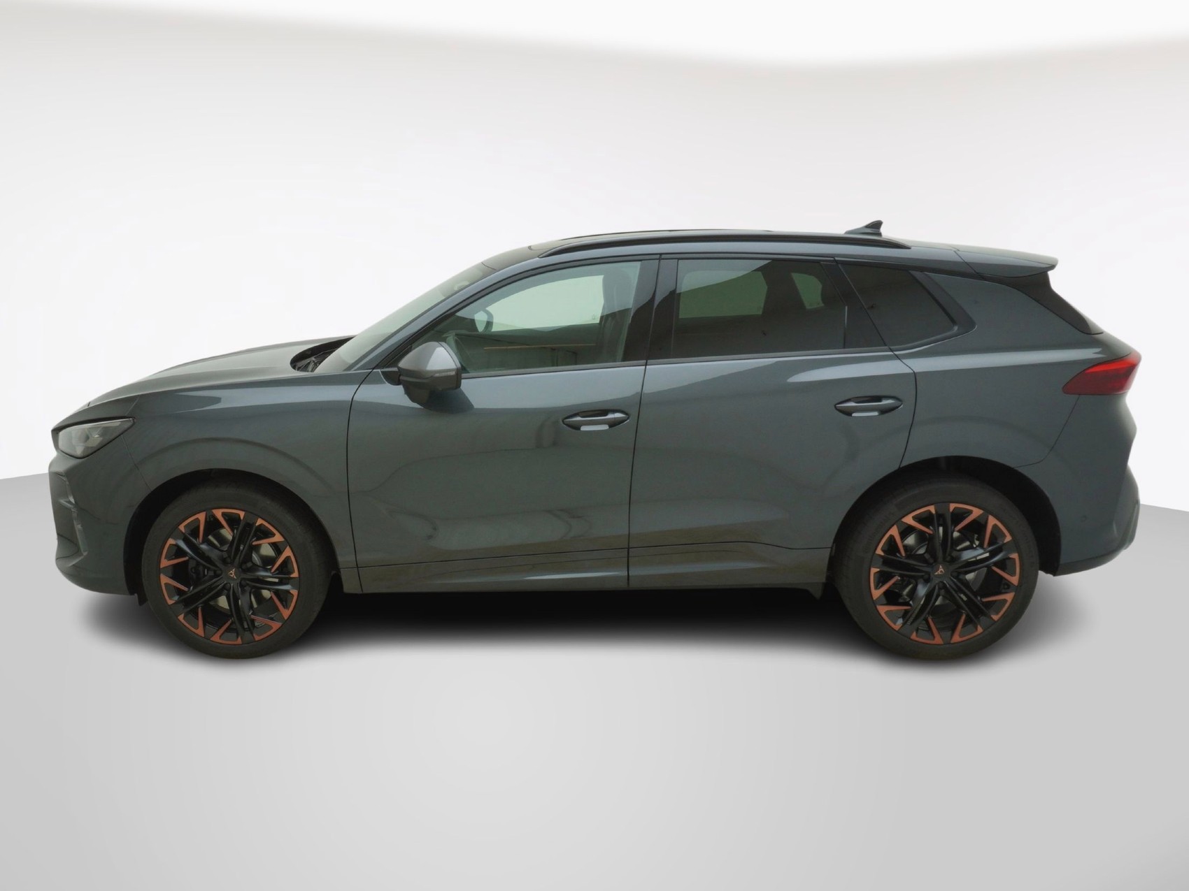 CUPRA Terramar 2.0 TSI 4Drive DSG-image-1